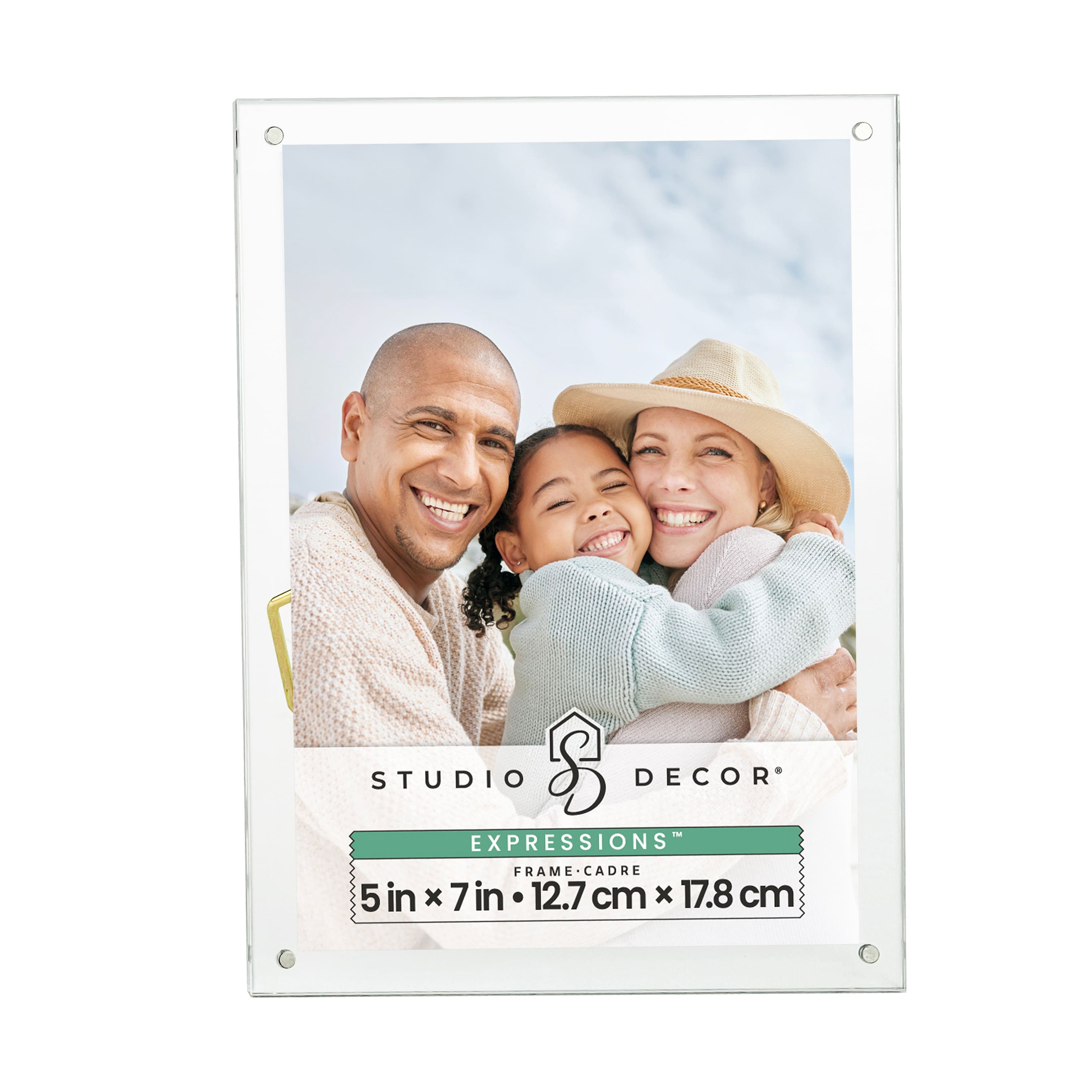 Expressions™ Clear Acrylic Float Frame with Gold Metal Easel by Studio Décor