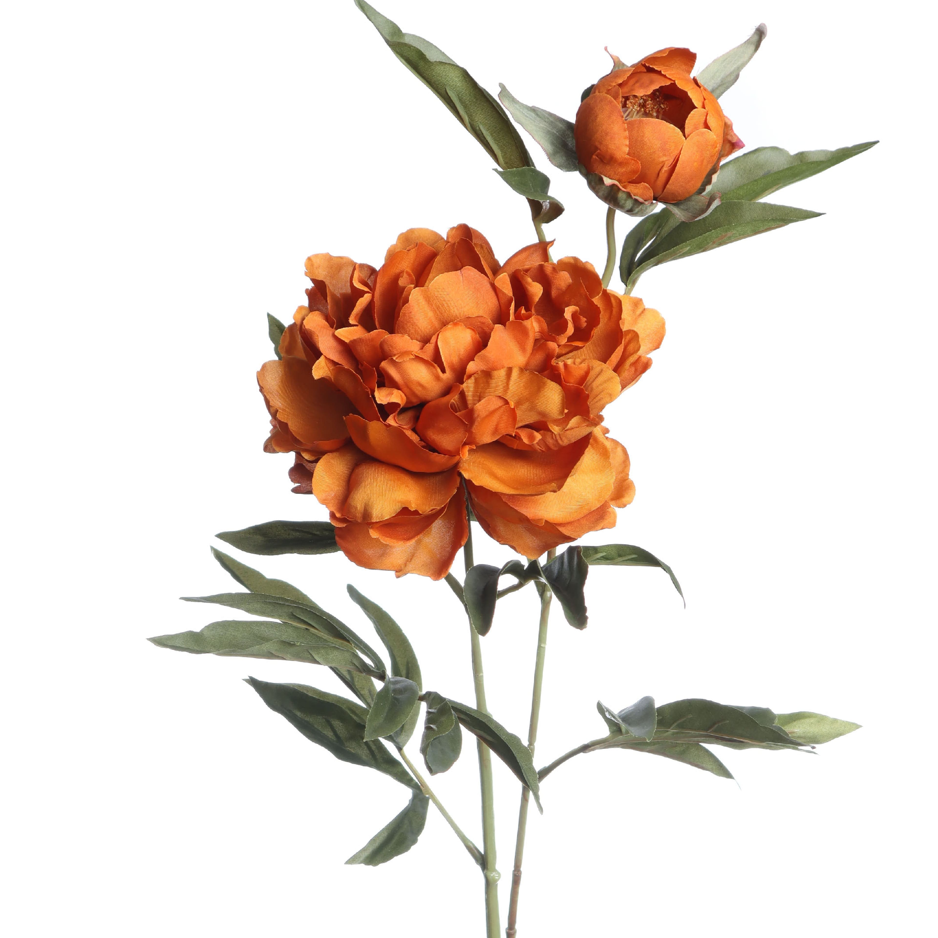 29" Orange Peony Stem by Ashland®