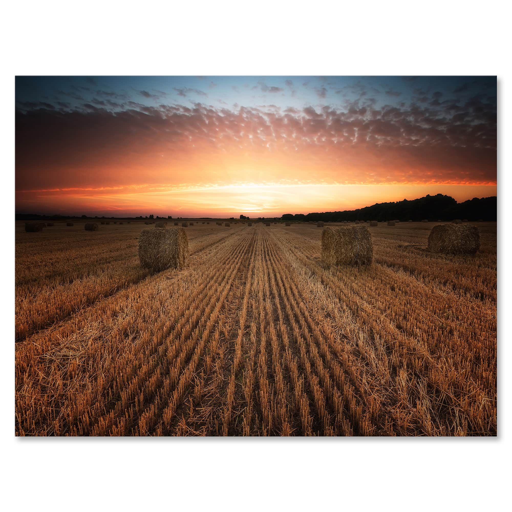 Designart - Landscape With A Field Full of Hay Bales At Sunset - Farmhouse Canvas Wall Art Print
