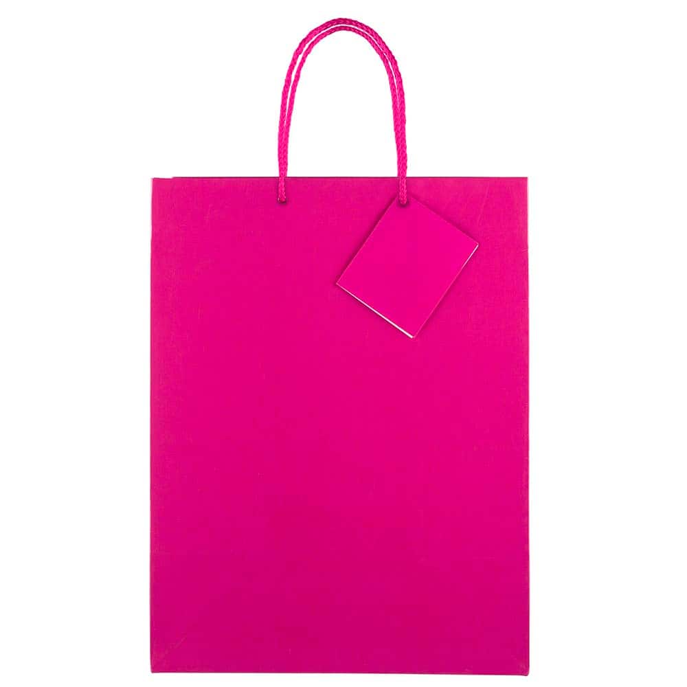 JAM Paper Large Glossy Gift Bags with Rope Handles, 3ct.