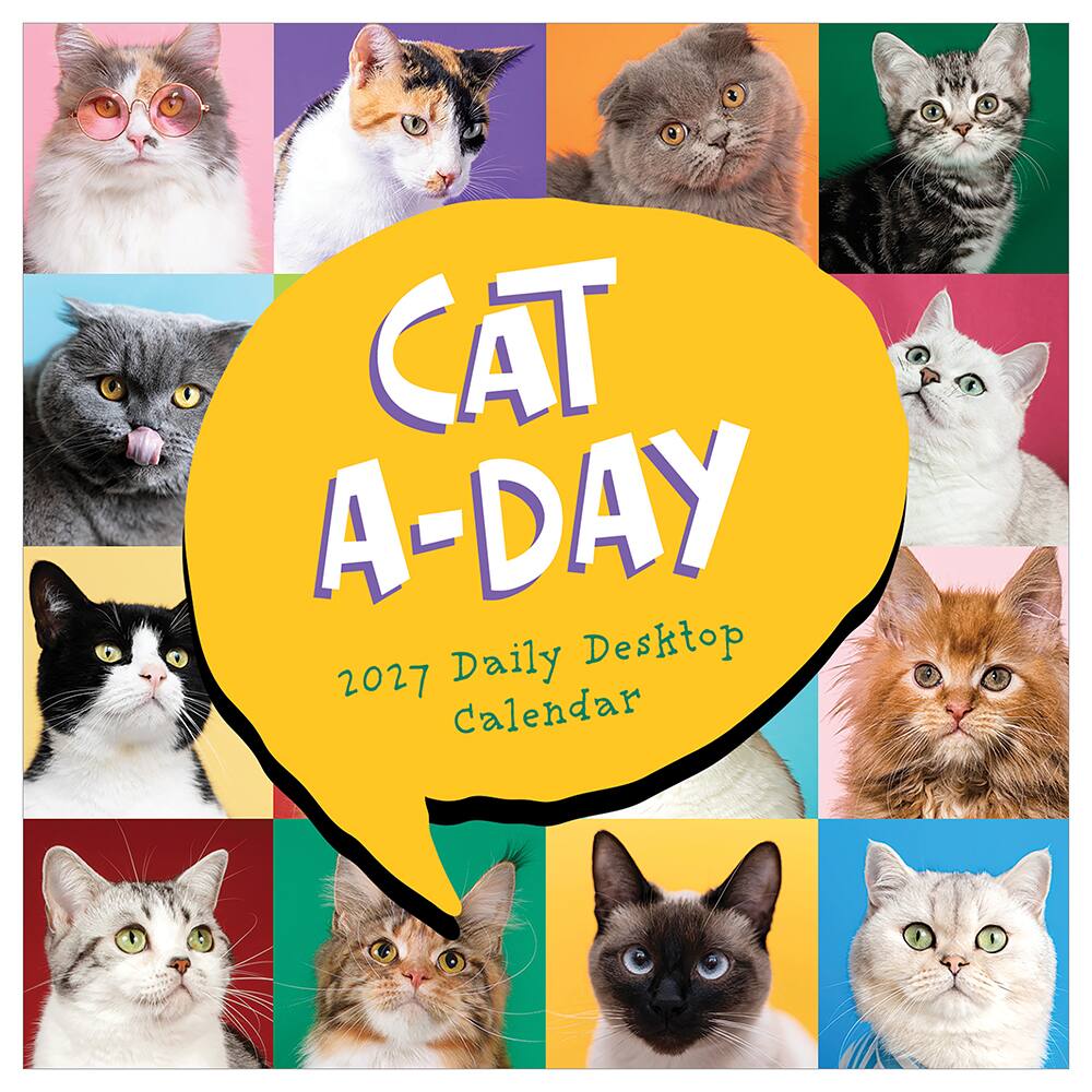 2027 Cat A Day Daily Desktop Calendar