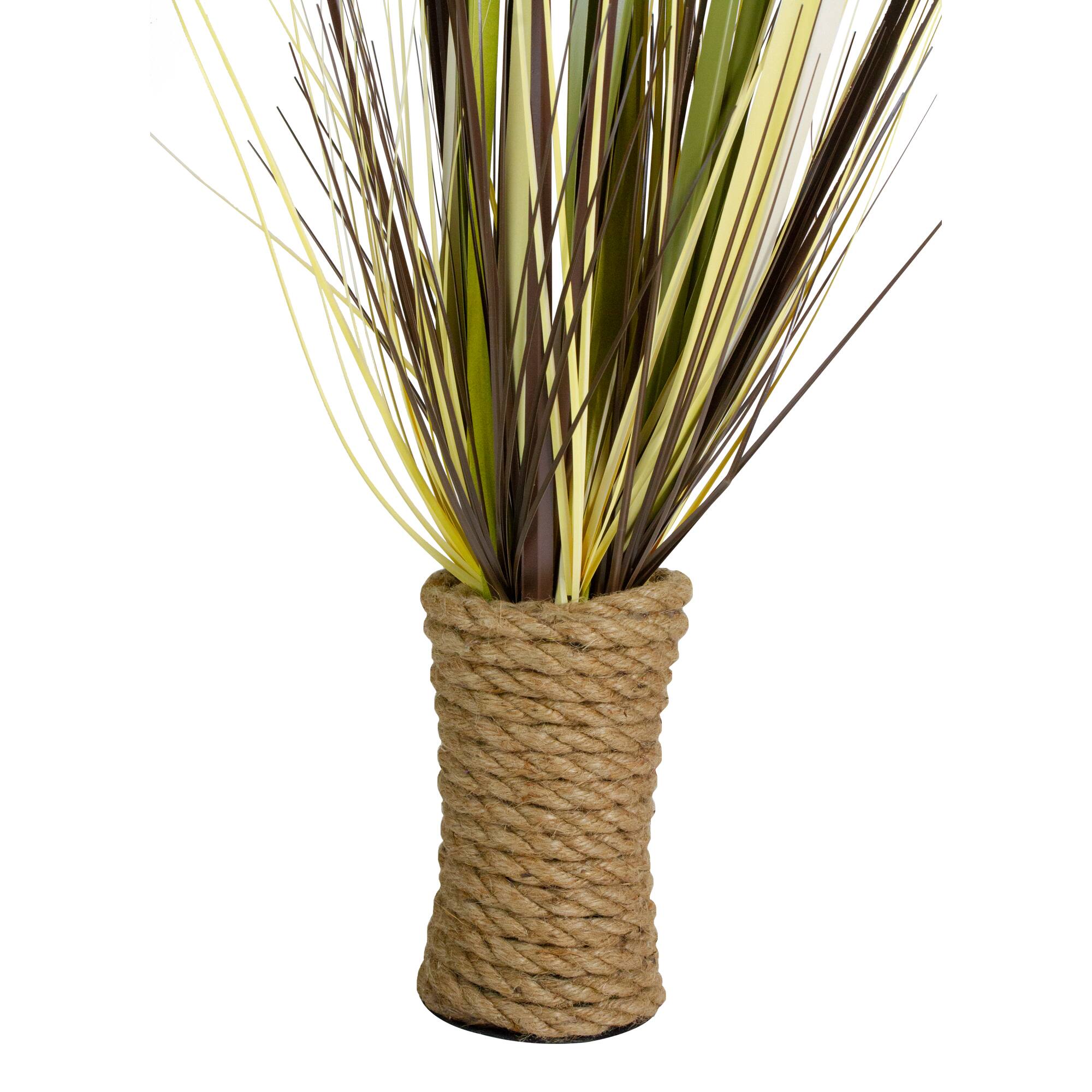 2.8ft. Long Grass Plant in Twisted Rope Pot