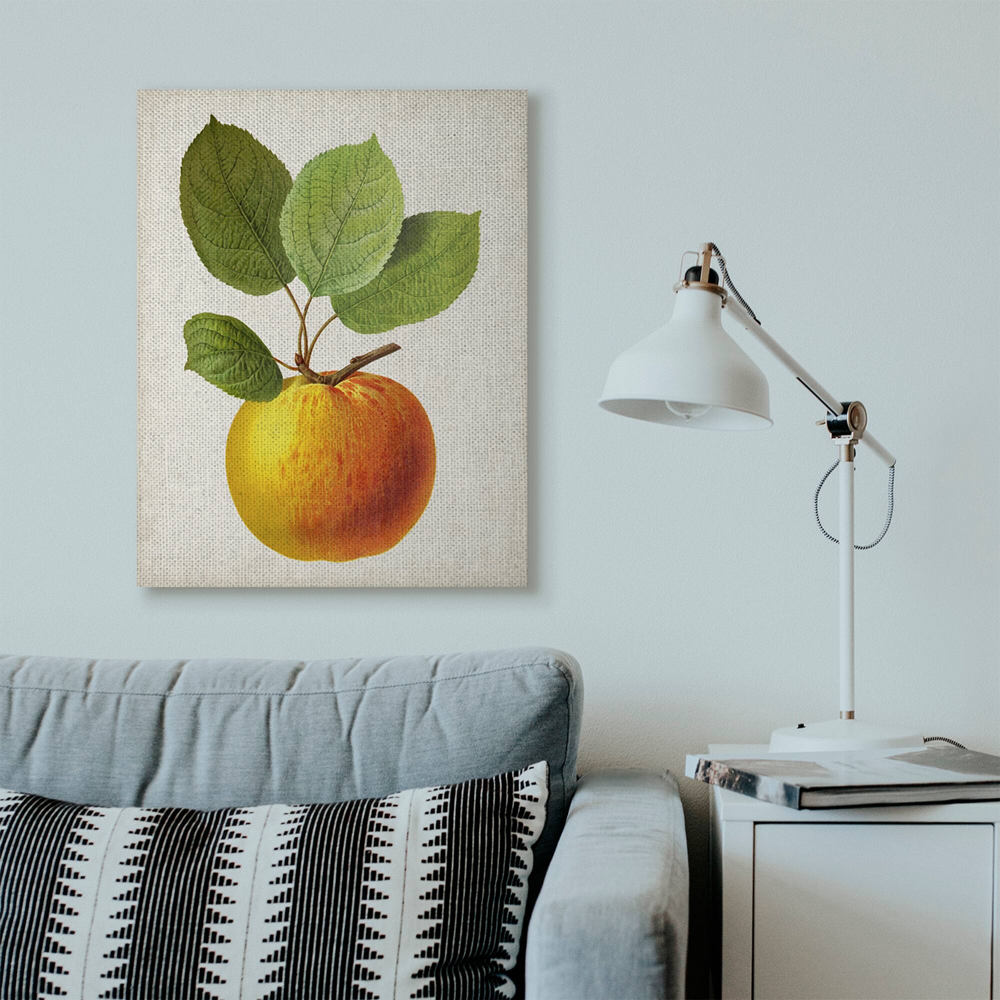 Stupell Industries Vintage Fruit Apple Painting Canvas Wall Art