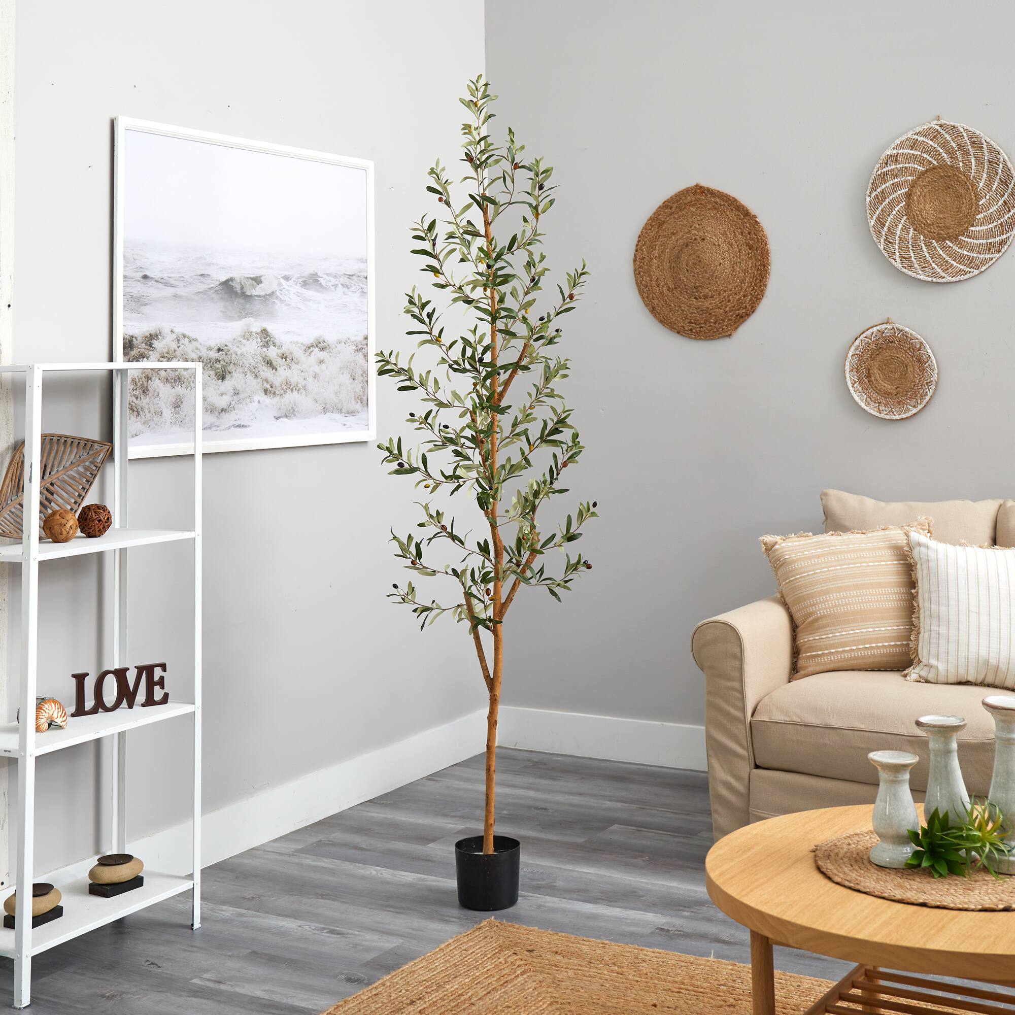 6.8ft. Potted Olive Tree