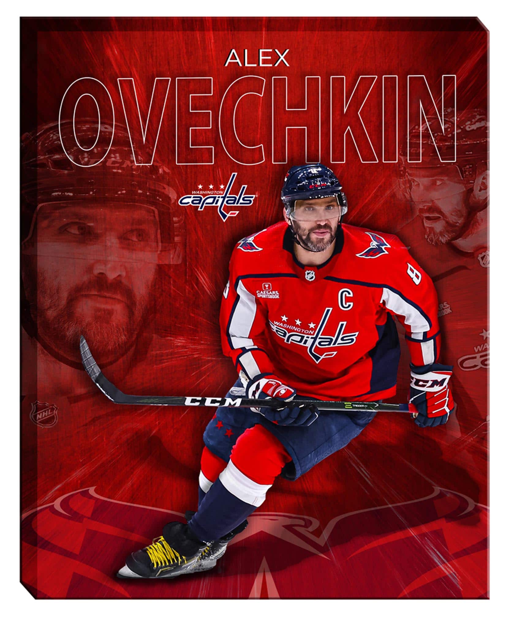 Alexander Ovechkin 16" x 20" Canvas Collage Capitals-V