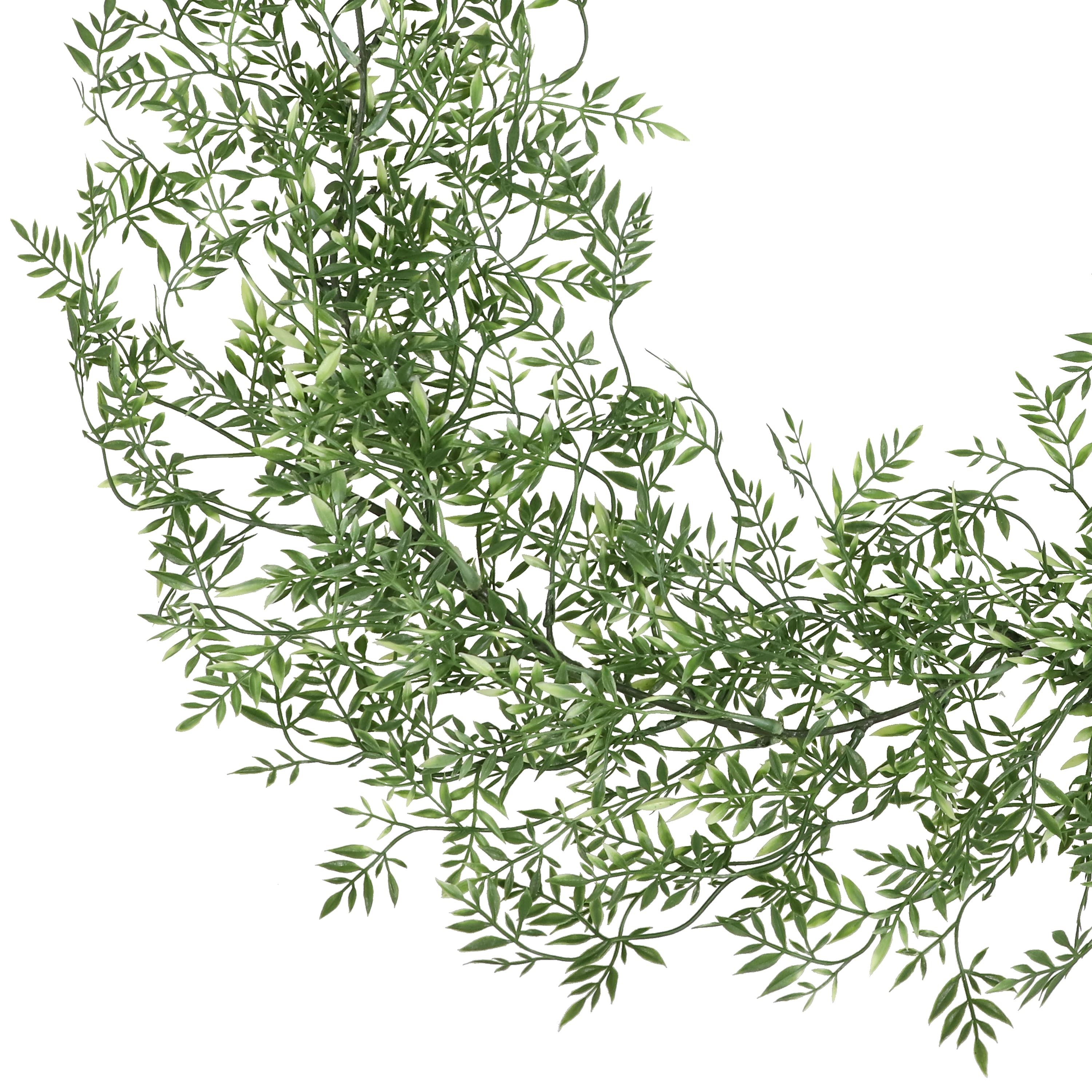 8 Pack: 6ft. 2-Tone Green Mini Ficus Garland by Ashland®