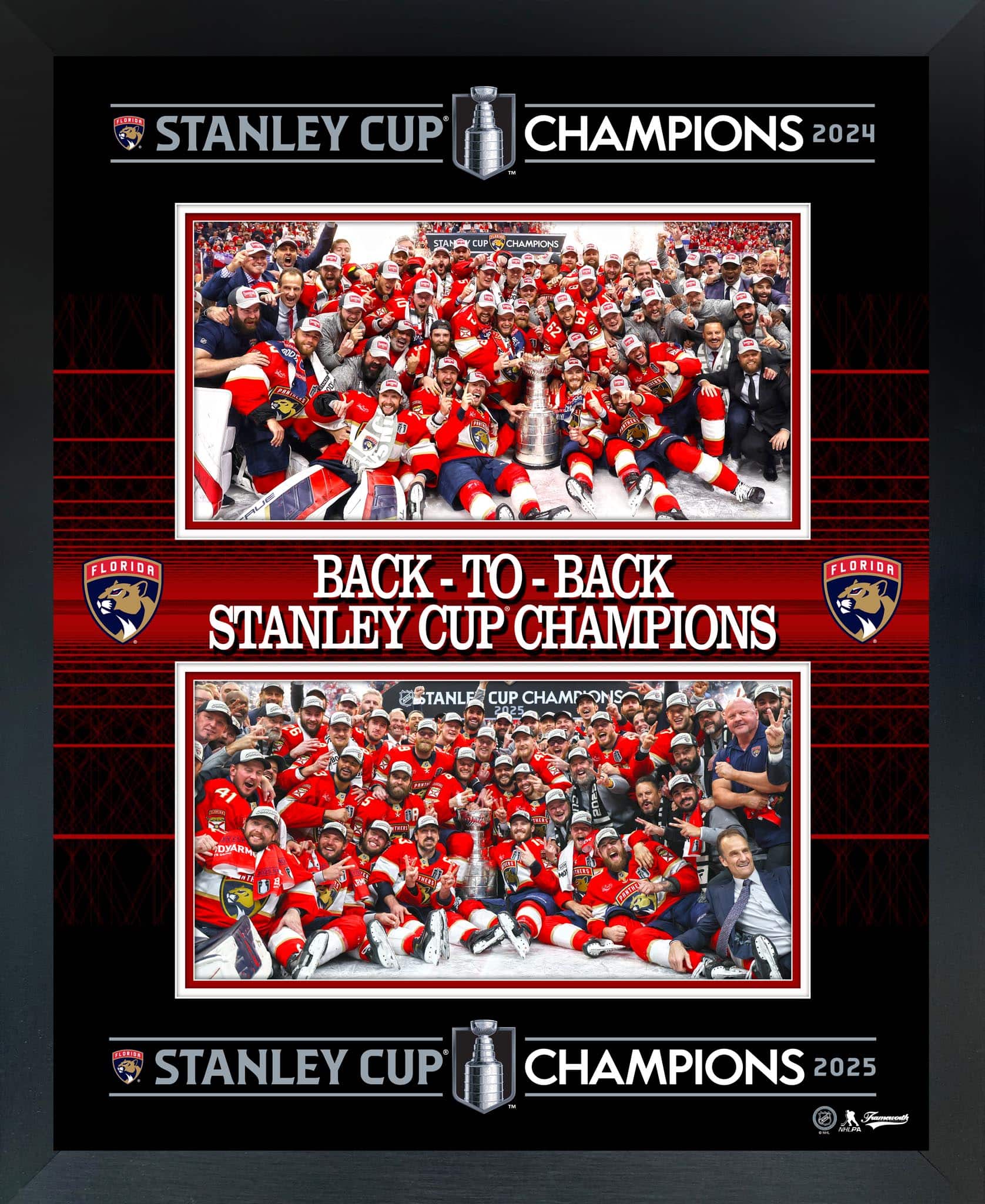 Florida Panthers 2025 Stanley Cup Champions 18" x 22" Back to Back Frame 20" x 16"