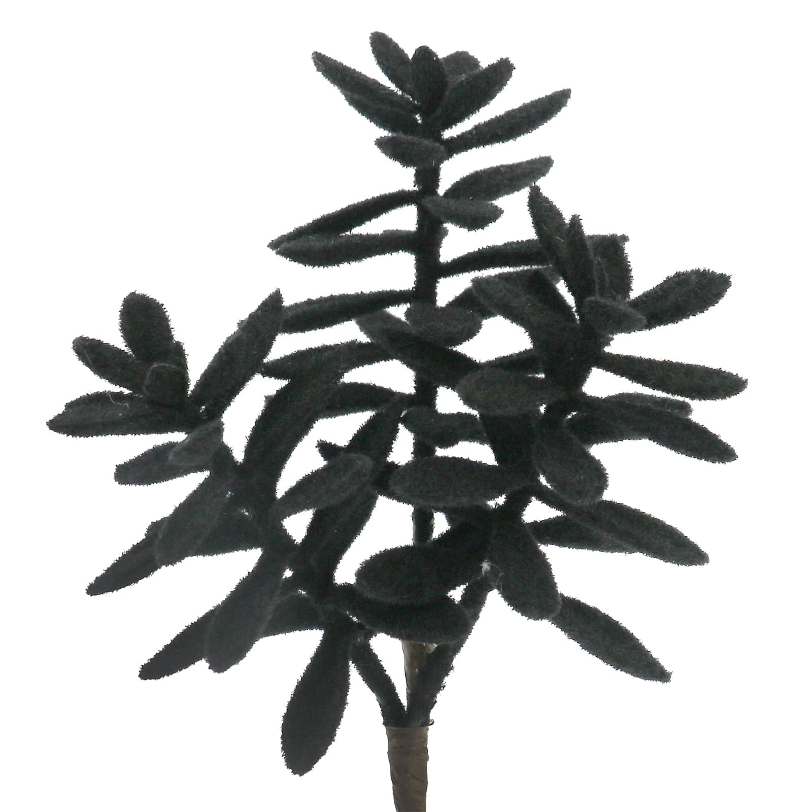 10" Black Succulent with Flocking Pick by Ashland®