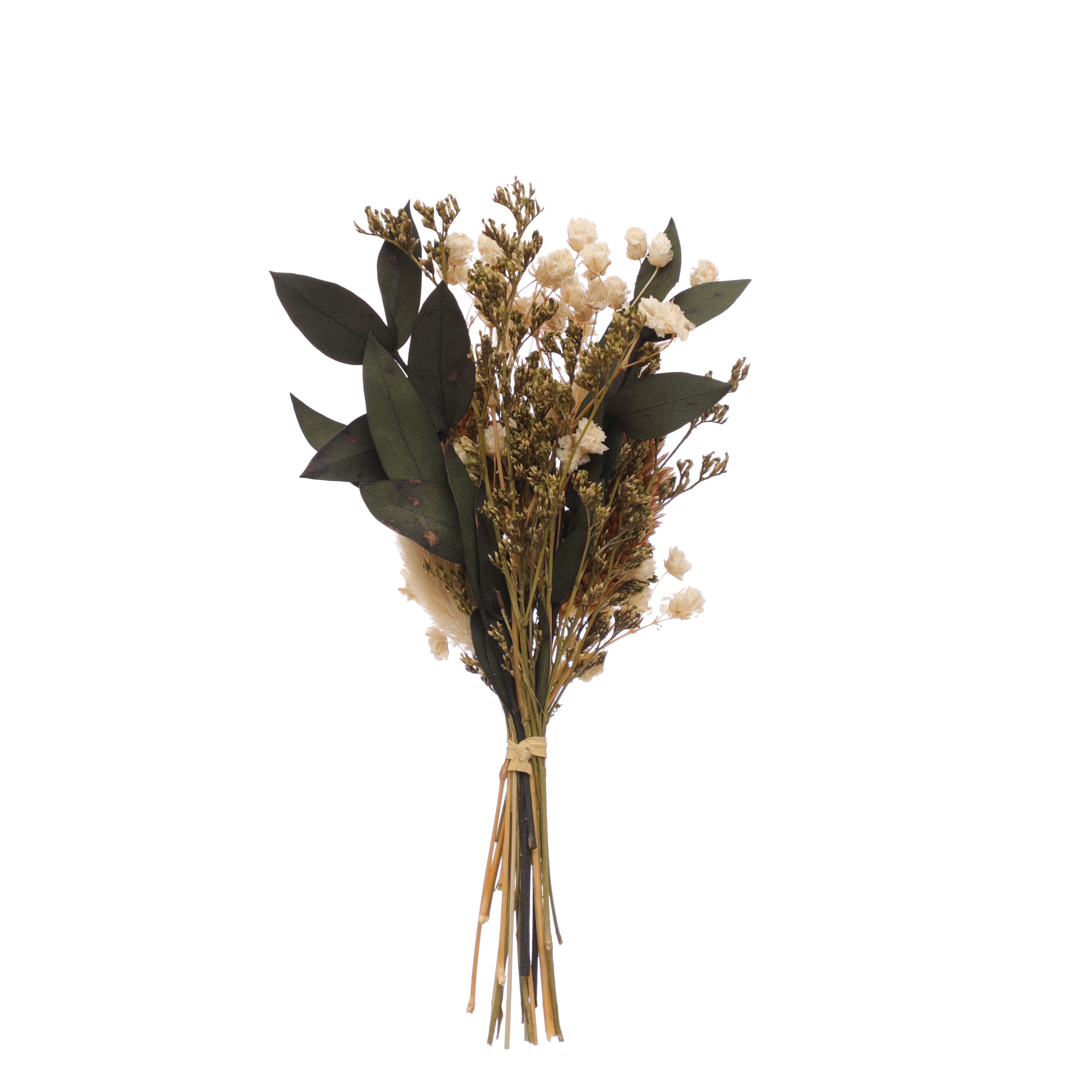 6.7" Dried Mixed Mini Bundle by Ashland®
