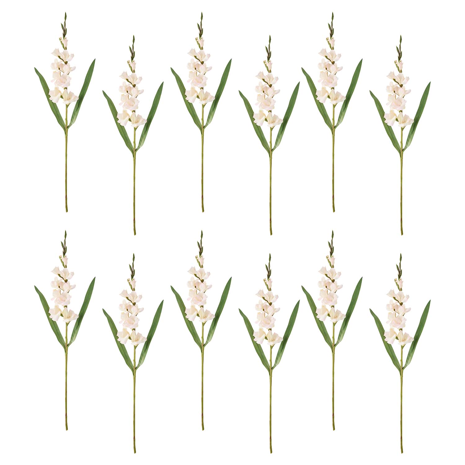 12 Pack: White Gladiolus Stem by Ashland®
