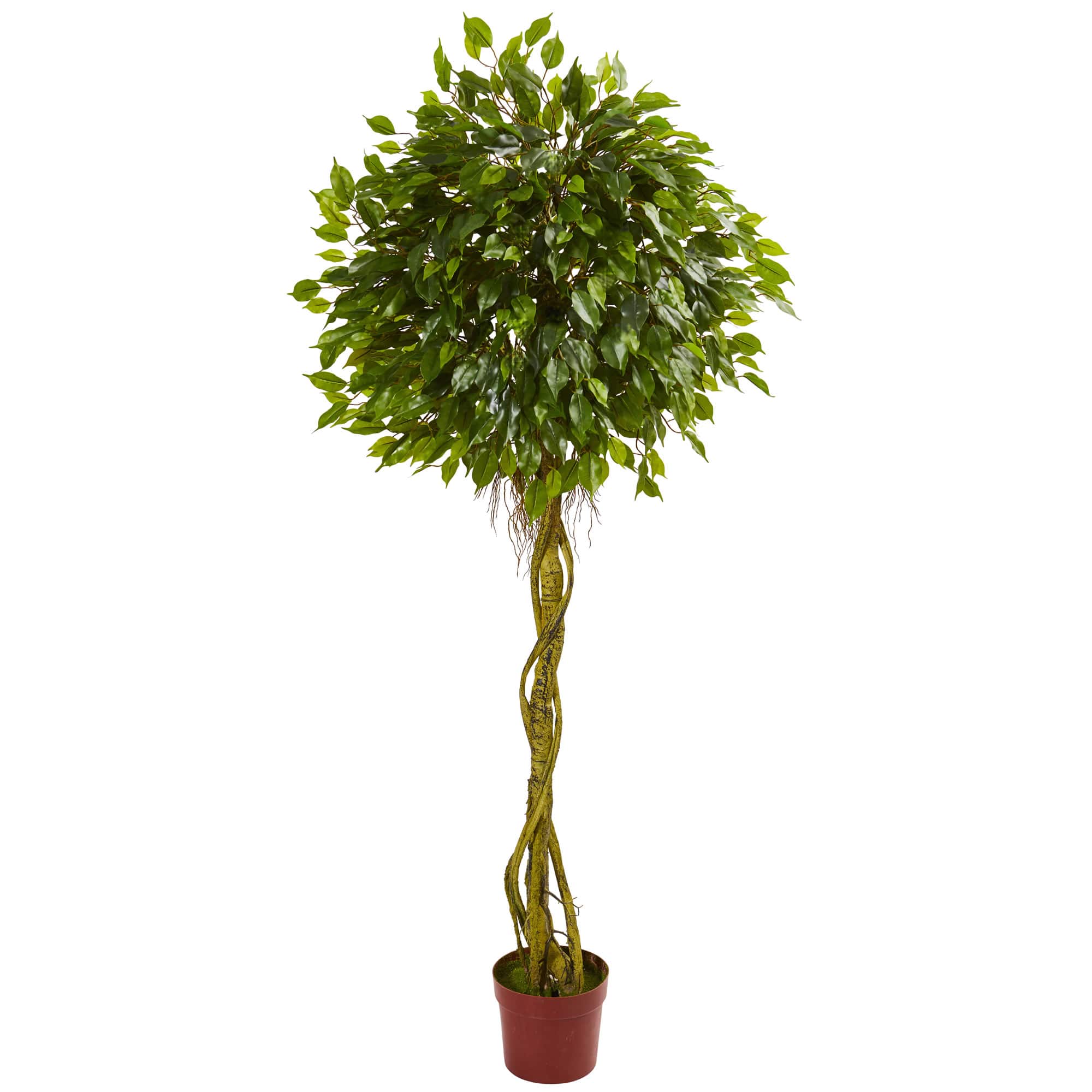 6ft. UV Resistant Ficus Artificial Topiary Tree