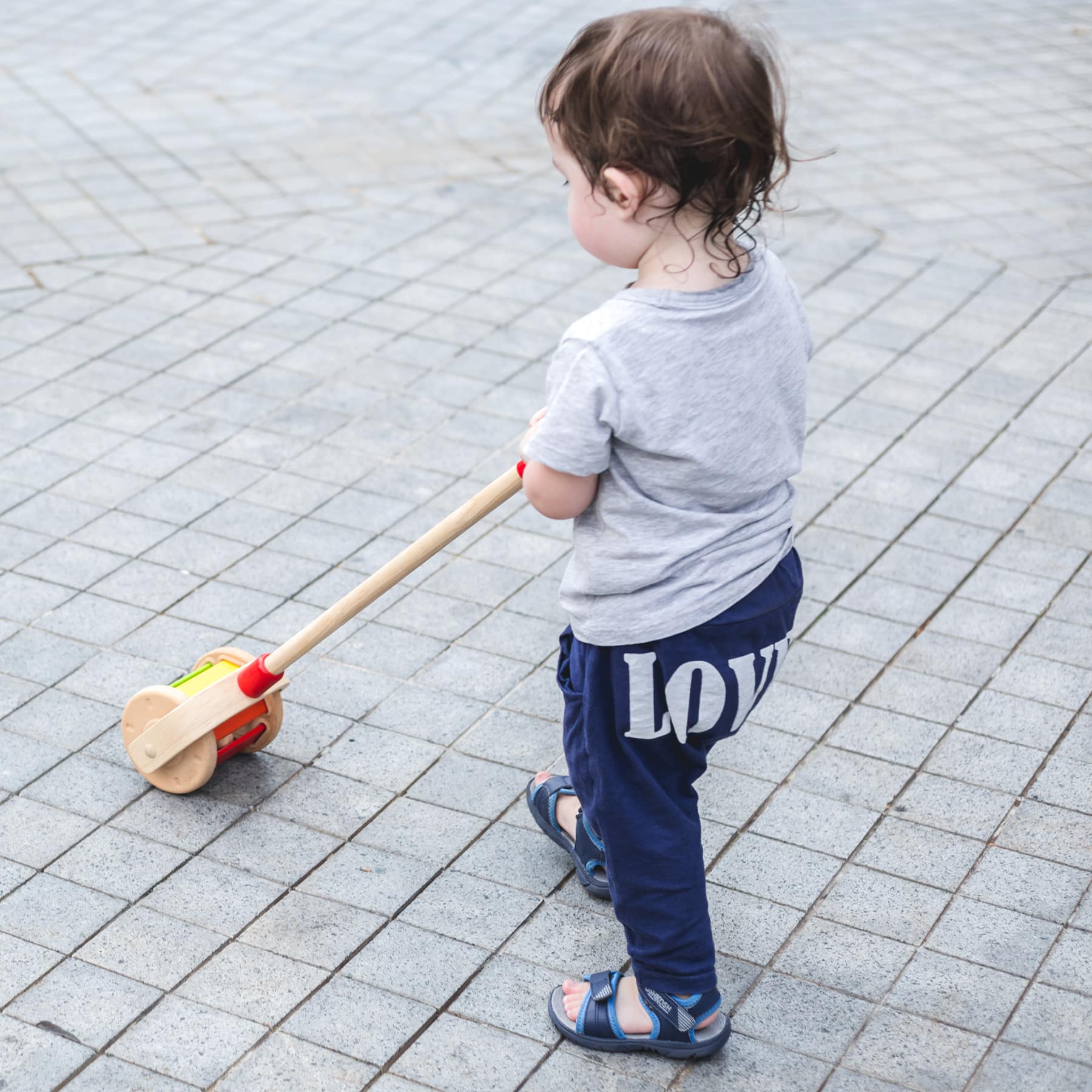 PlanToys Walk N Roll Wooden Push & Pull Toy