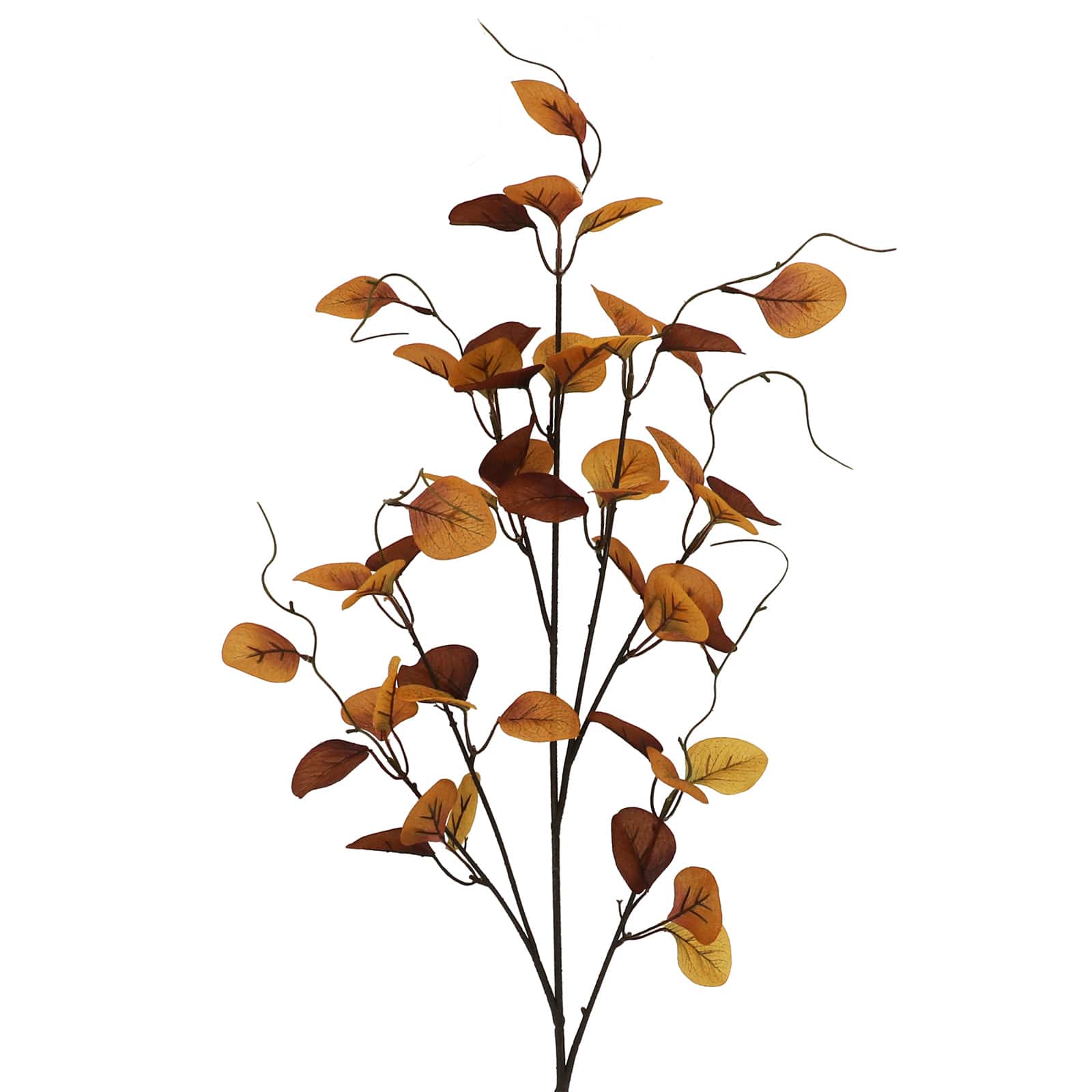 39" Yellow & Brown Eucalyptus Stem by Ashland®