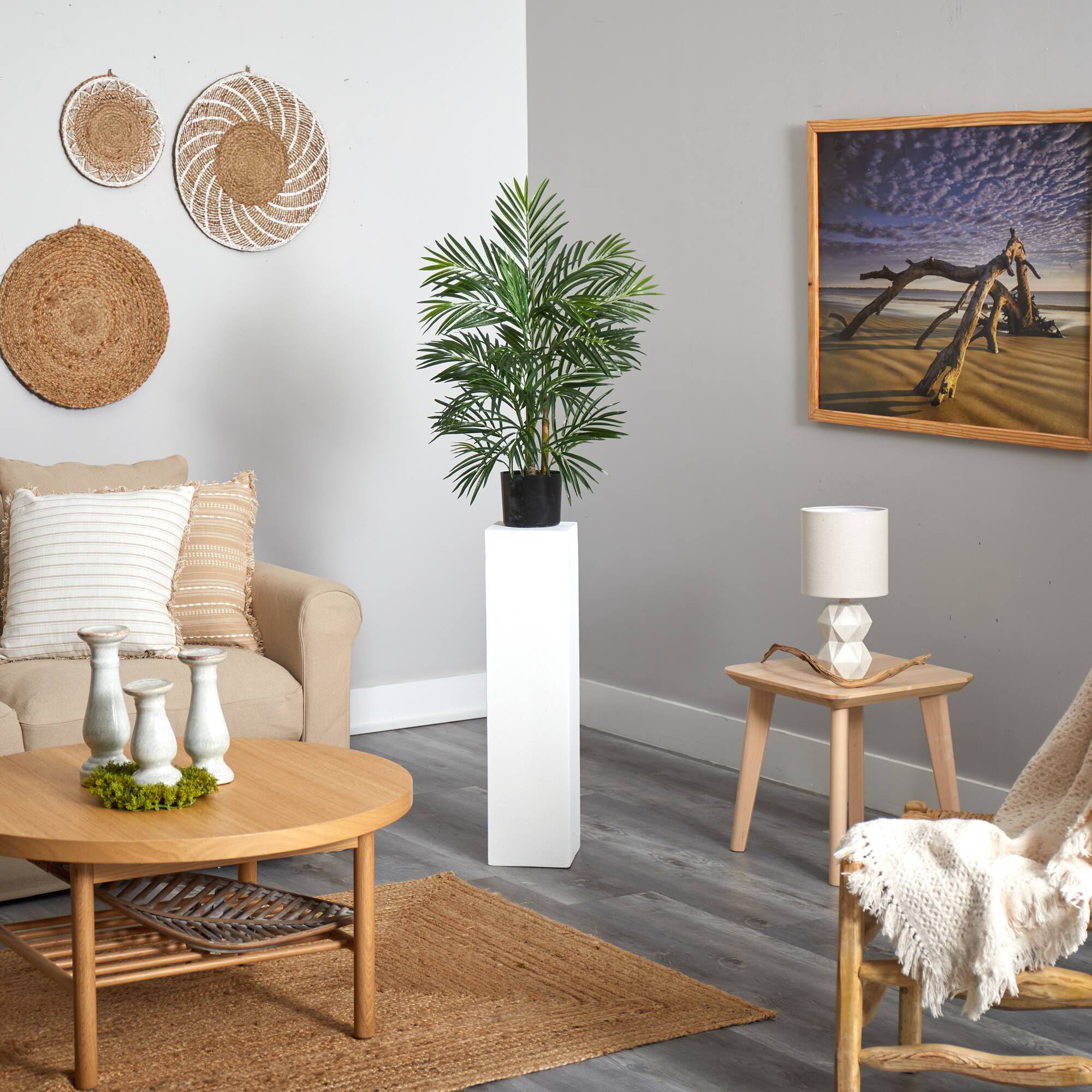 2.5ft. Potted Areca Palm