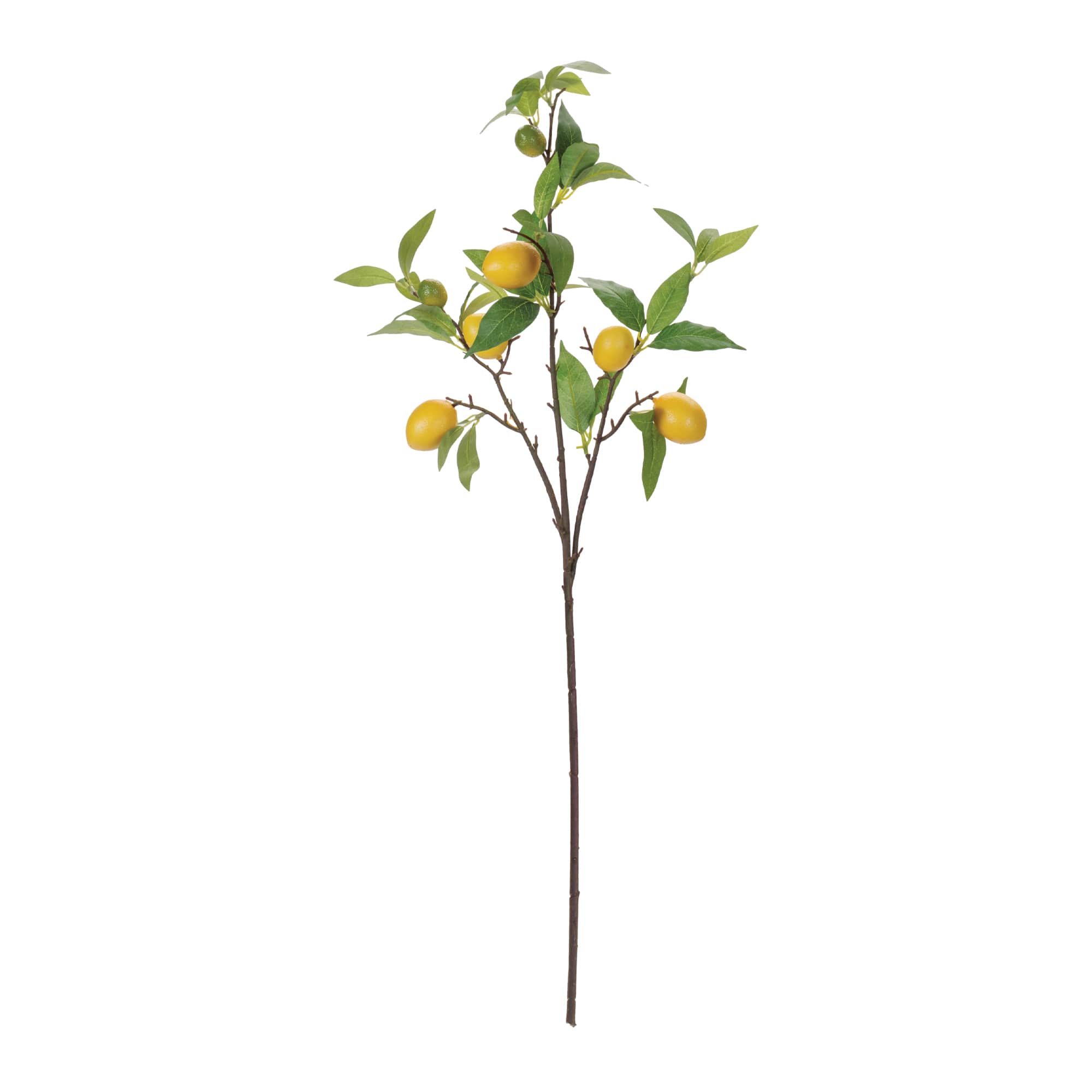 33.75" Lemon Fruit Foliage Branches, 6ct.