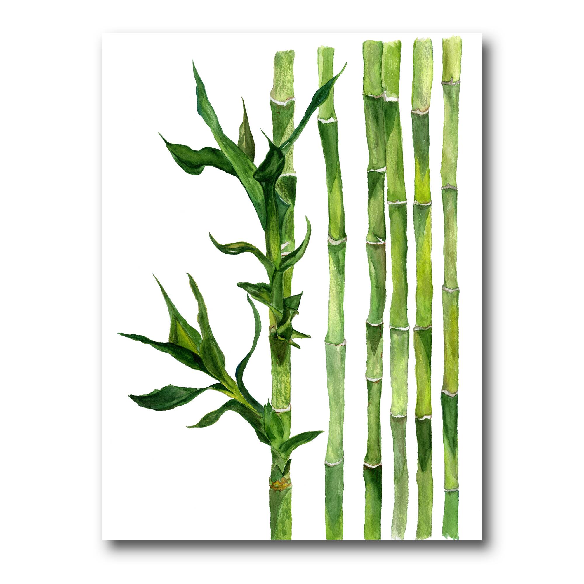 Designart - Bamboo Branches In The Forest III