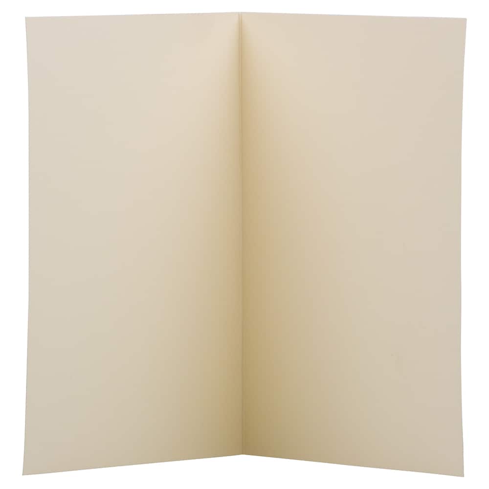JAM Paper 3.5" x 4.875" Strathmore Ivory Wove Blank Foldover Cards