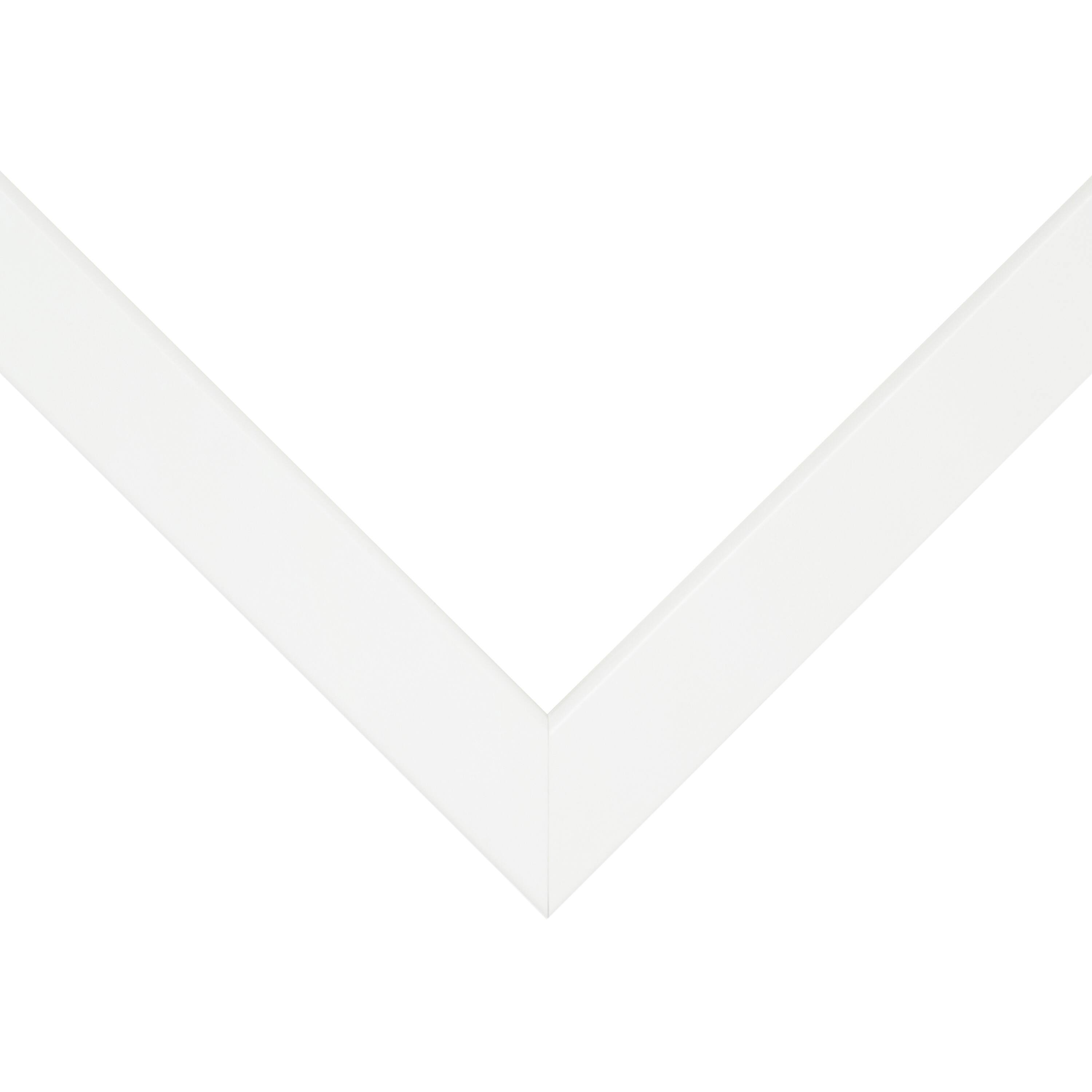 Frame USA TRUE Depth White Single Image Picture Frame