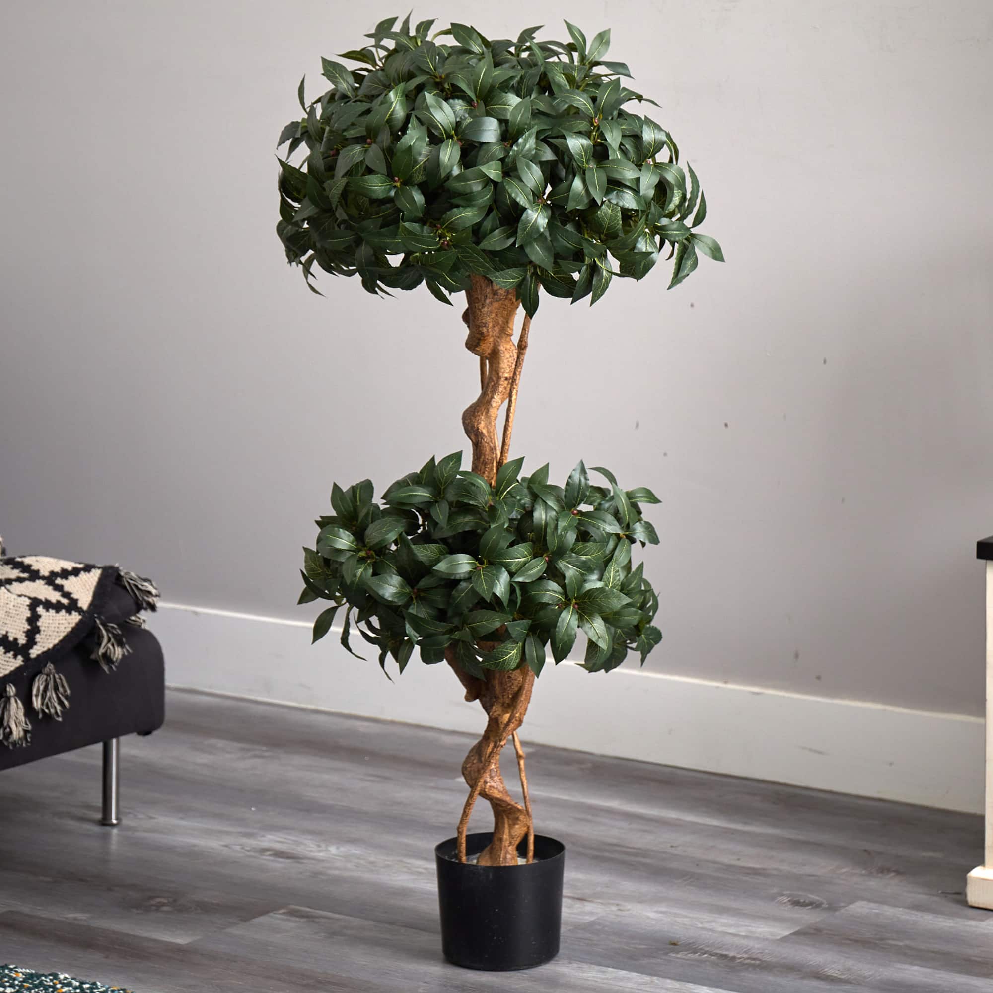 4ft. Potted Sweet Bay Double Ball Topiary Tree