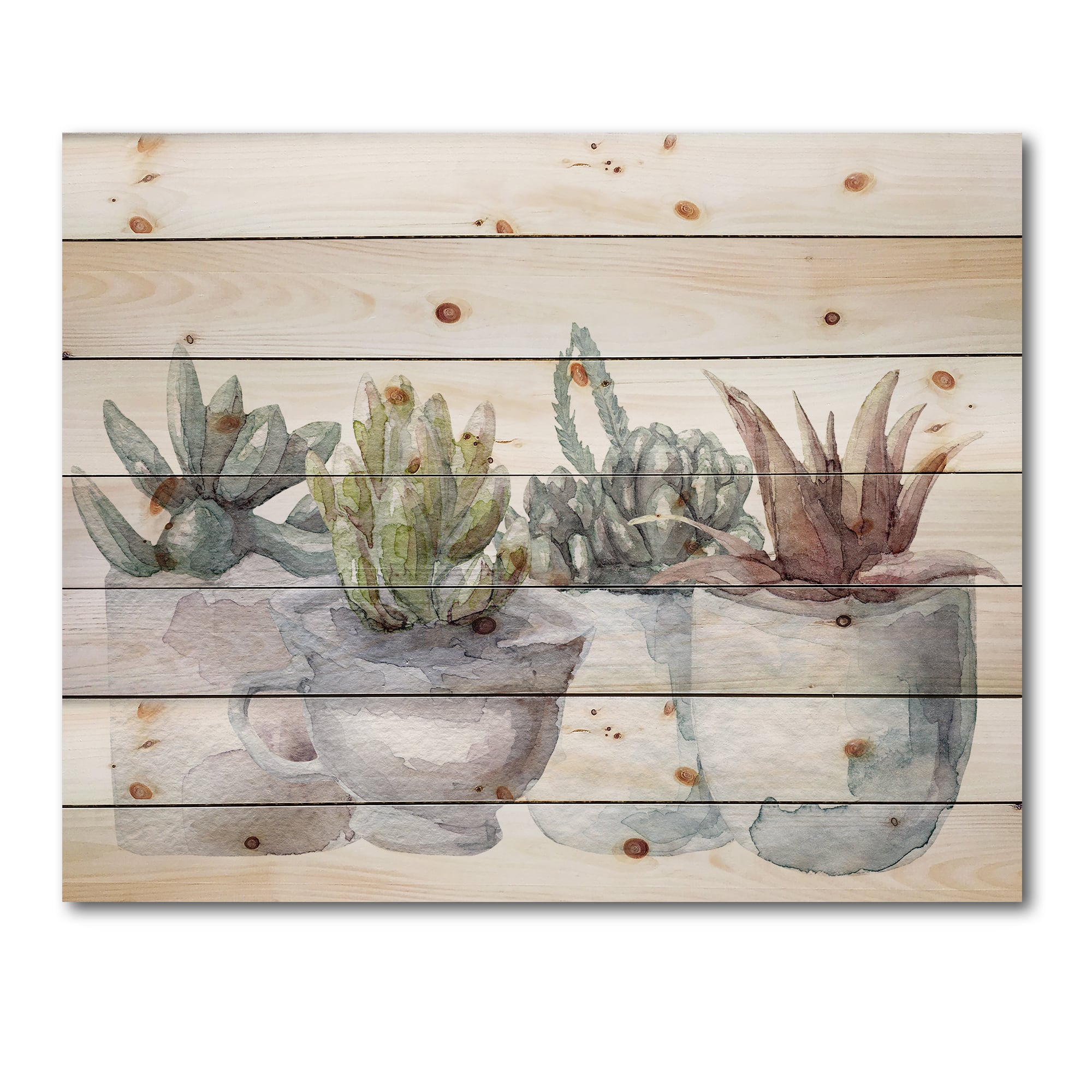 Designart - Cactus and Succulent House Plants IV - Botanical Print on Natural Pine Wood