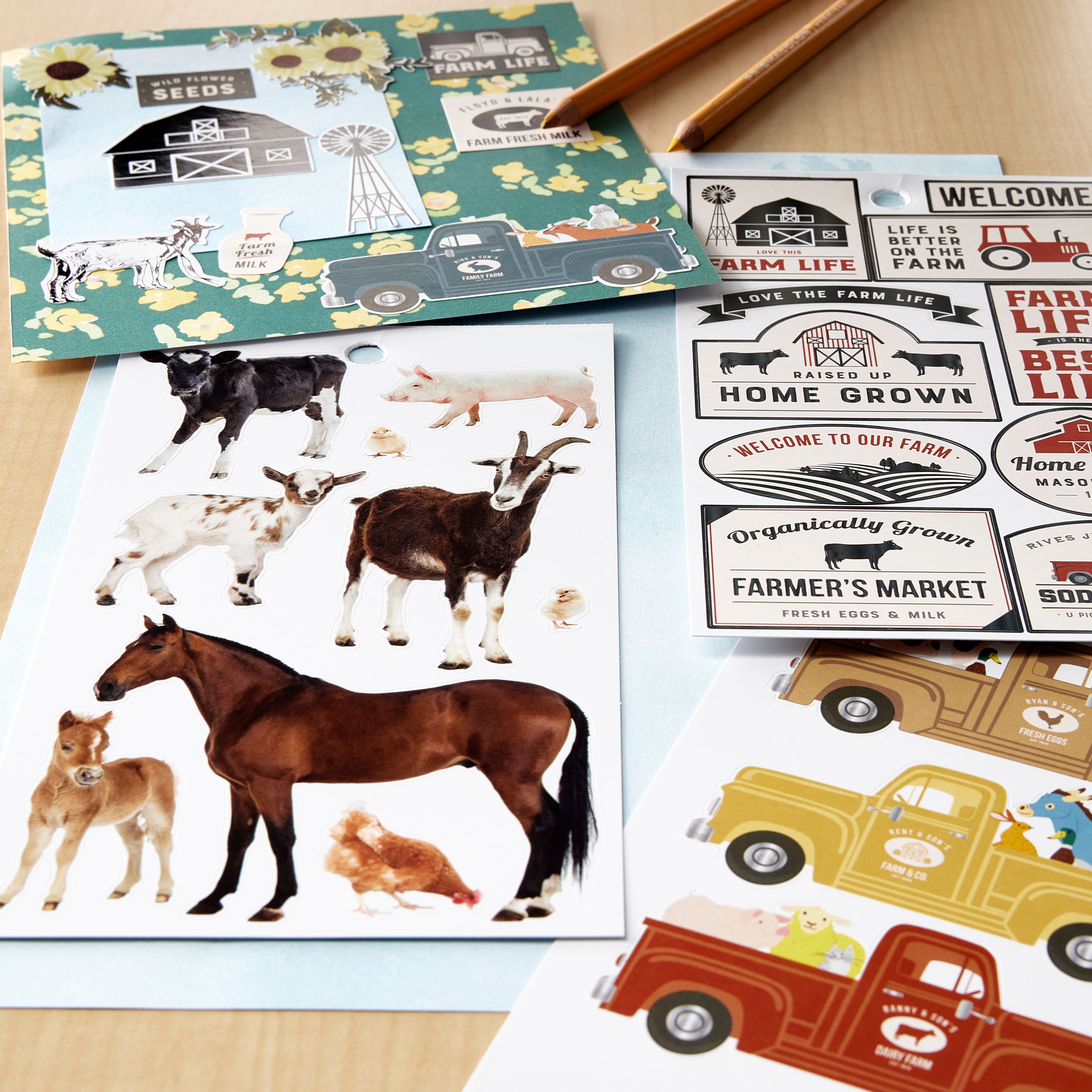 12 Pack: Barnyard Animals Stickers by Recollections™