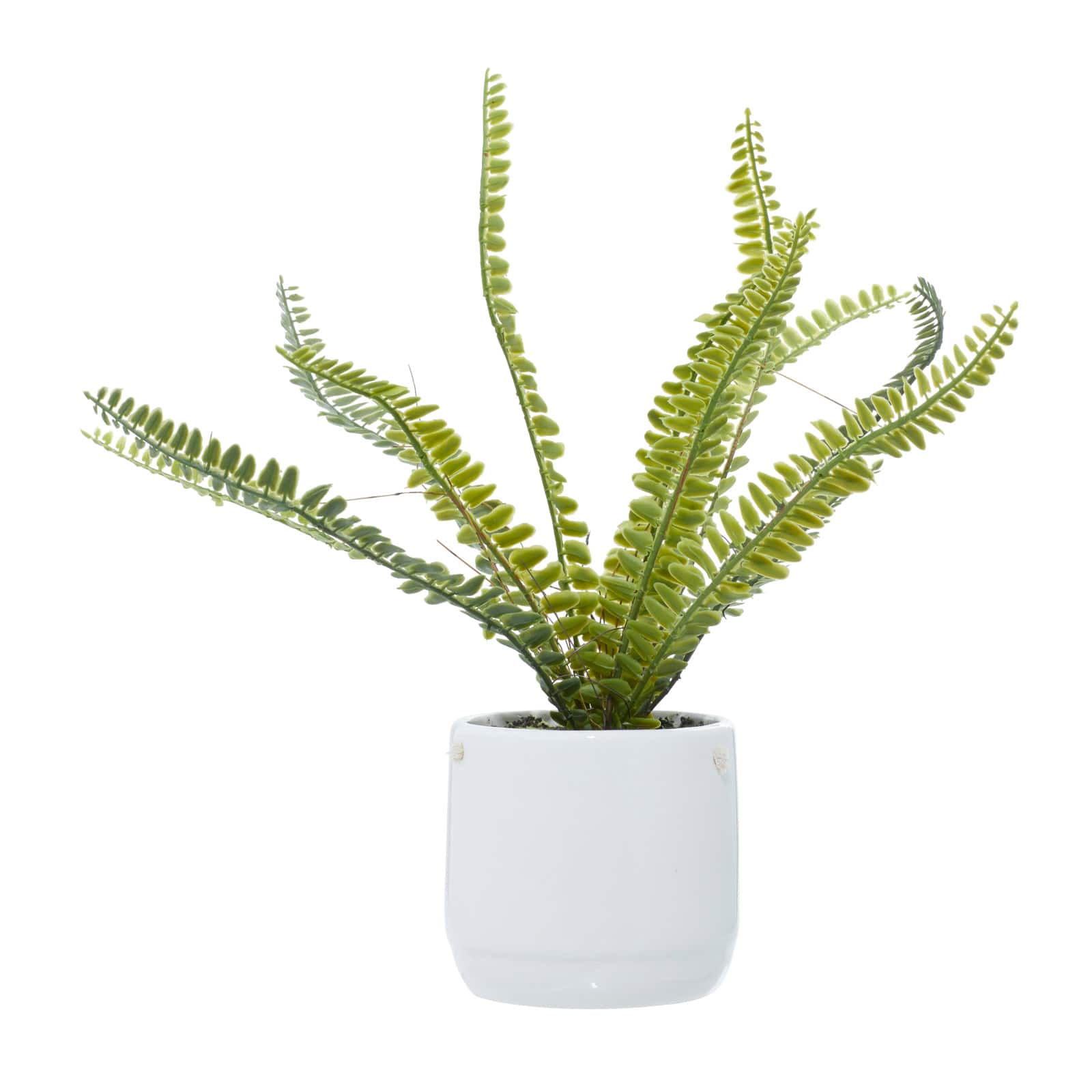 White Ceramic Contemporary Artificial Foliage, 14" x 12" x 13"