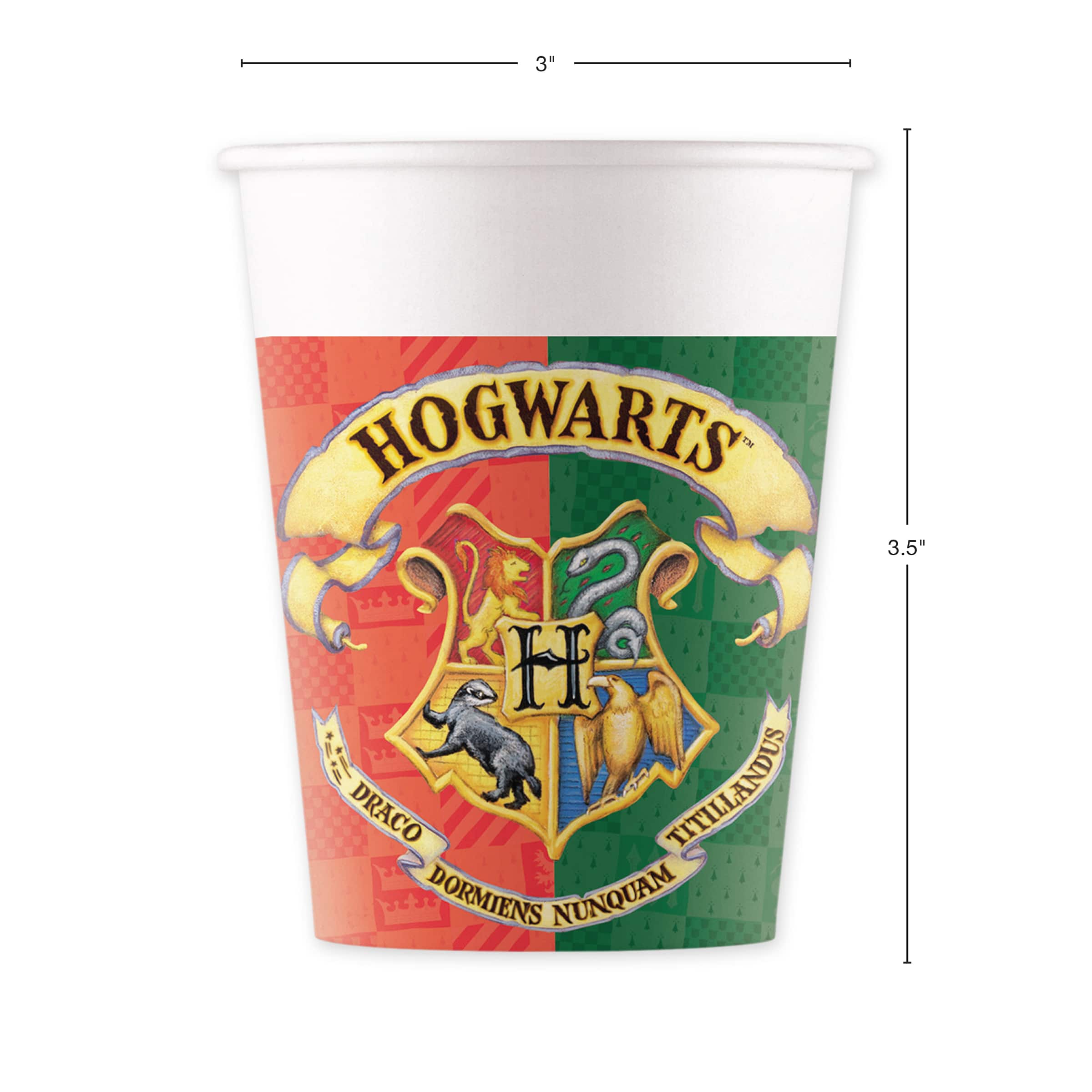 Harry Potter Party Kit