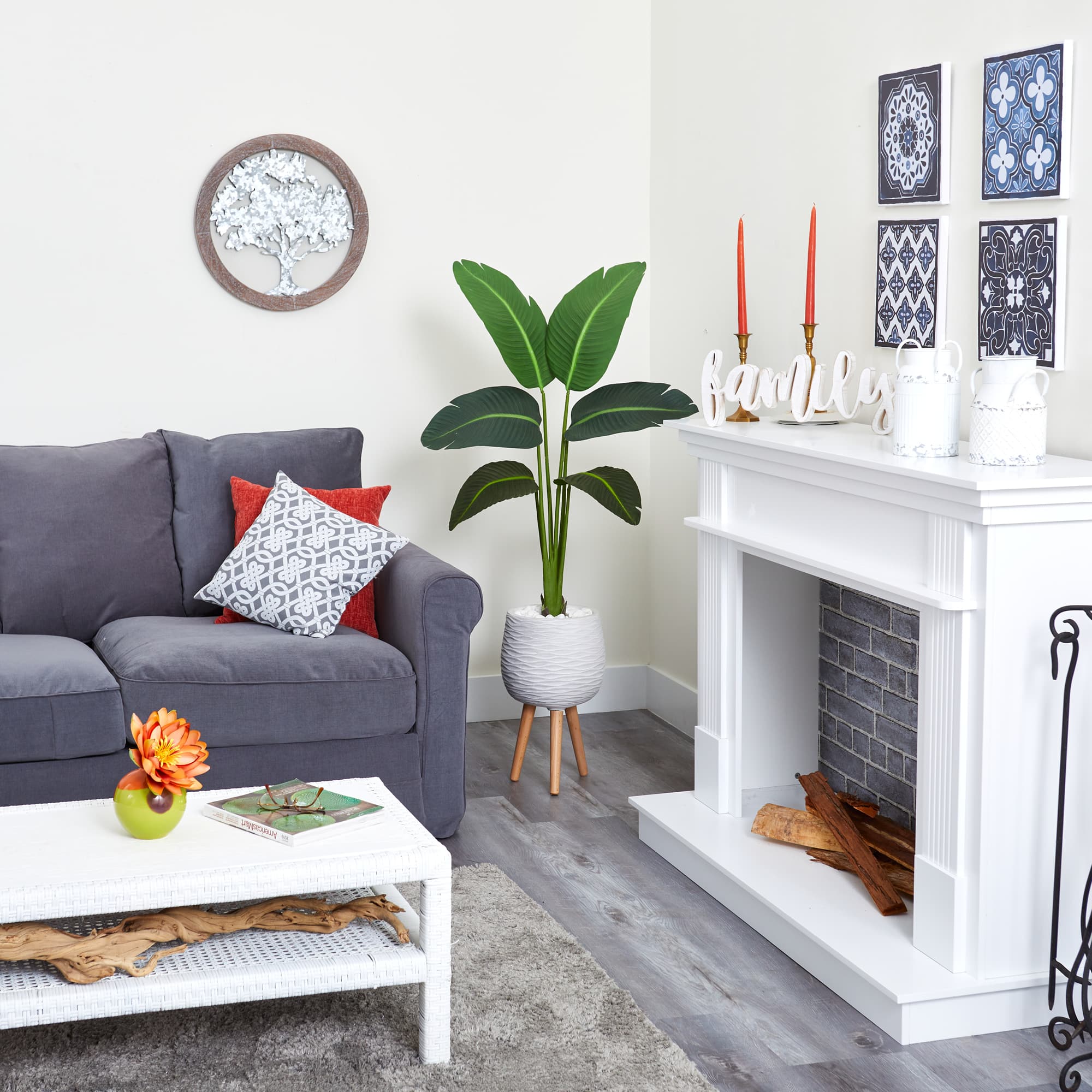 5ft. Travelers Palm Plant in White Planter with Stand