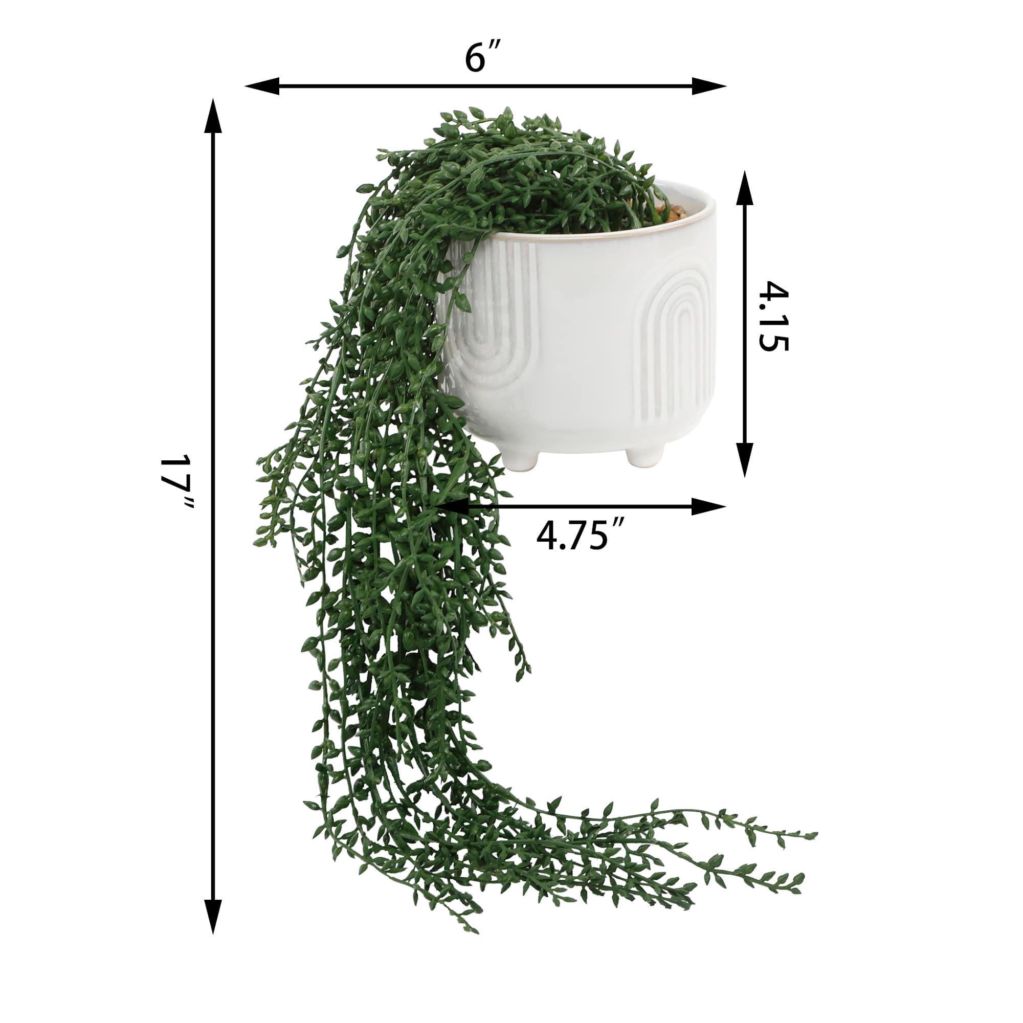 Flora Bunda® 17" String of Pearls in White Rainbow Ceramic Pot