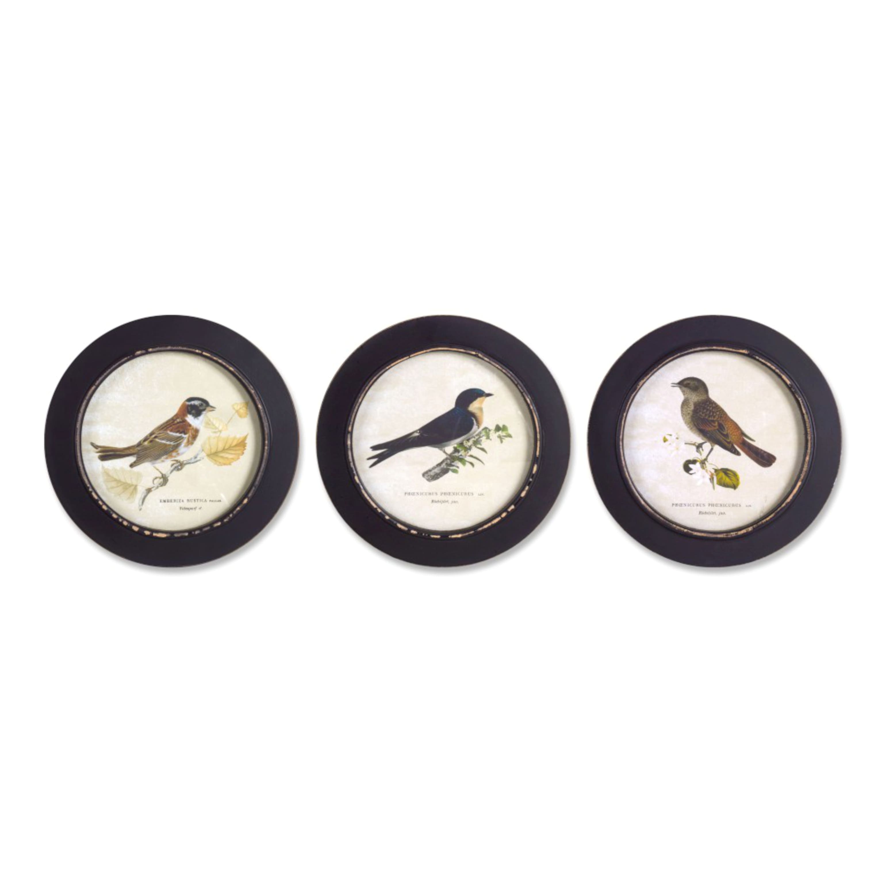 9.5" Wood Bird Print Framed Set