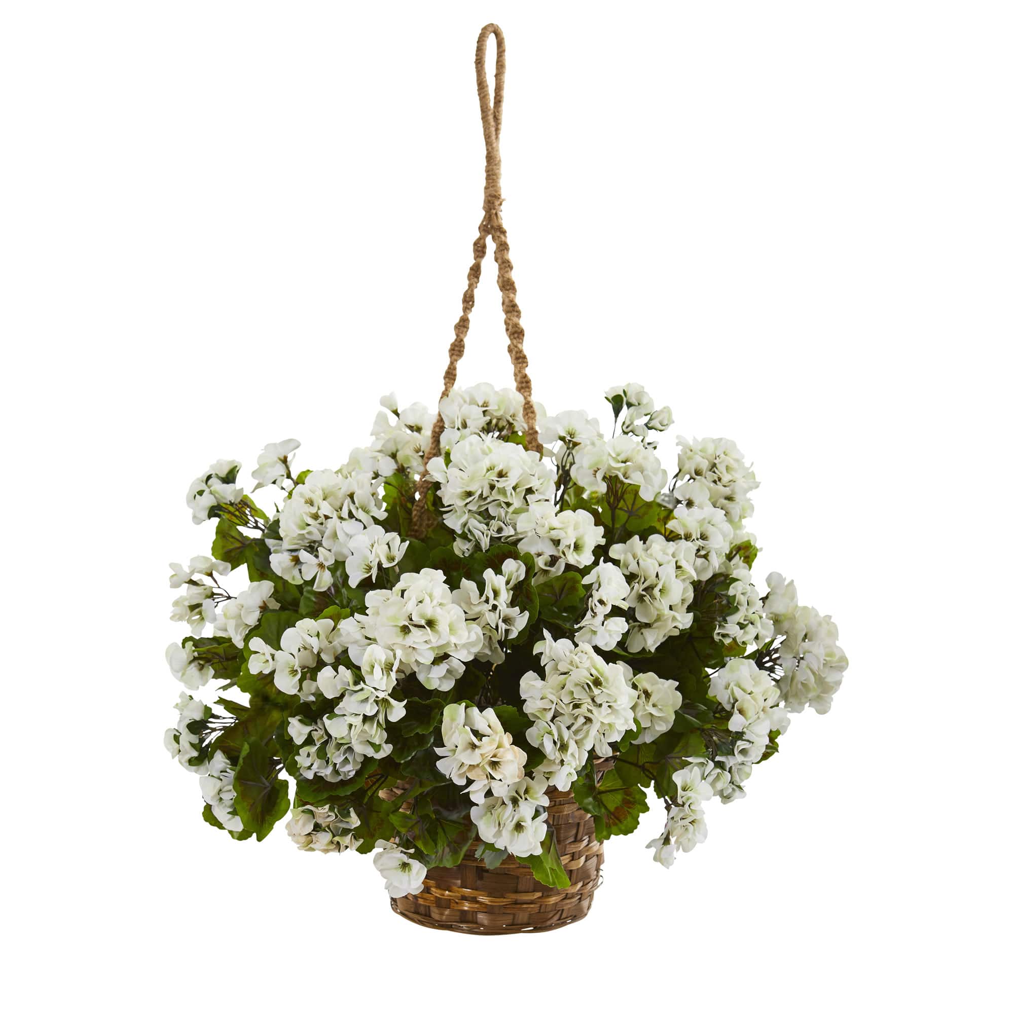 19" Geranium in Hanging Basket