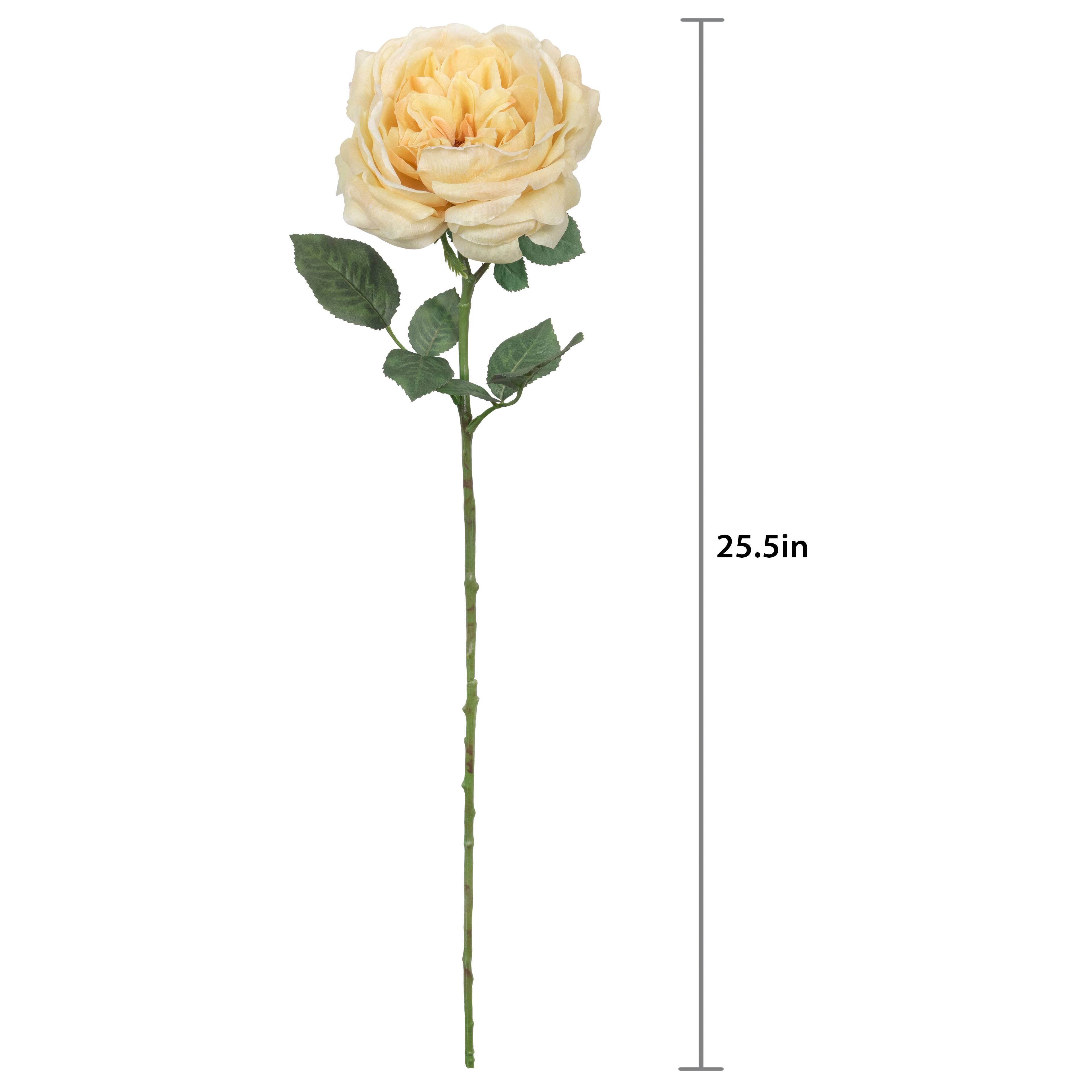 25.5" Yellow Rose Stem by Ashland®