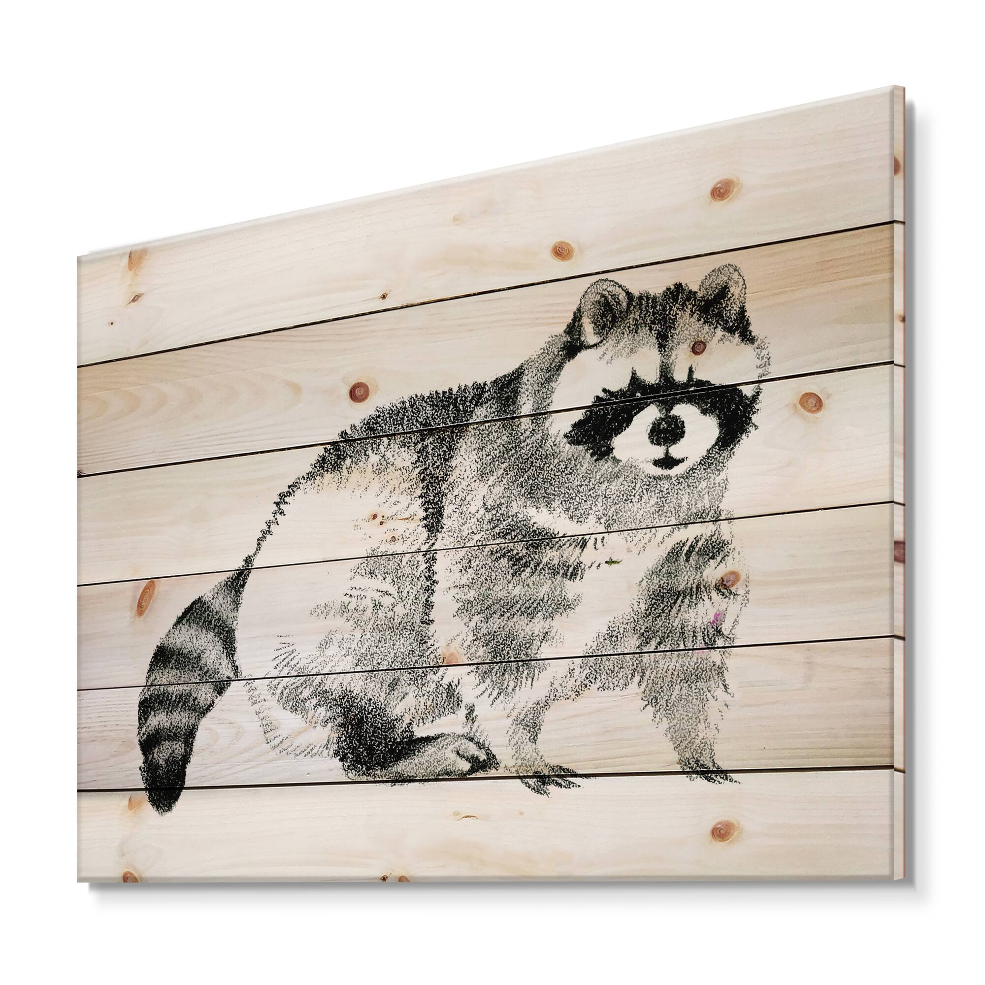 Designart - Monochrome Portrait Of Raccoon - Farmhouse Print on Natural Pine Wood