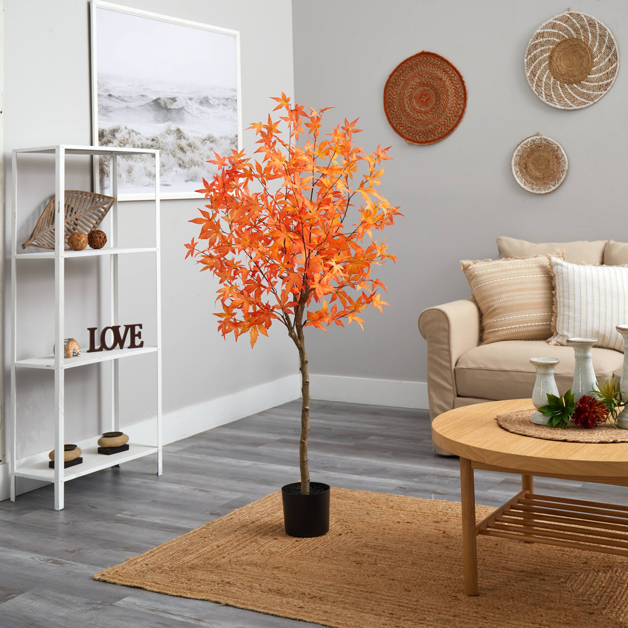 5ft. Potted Orange Autumn Maple Tree