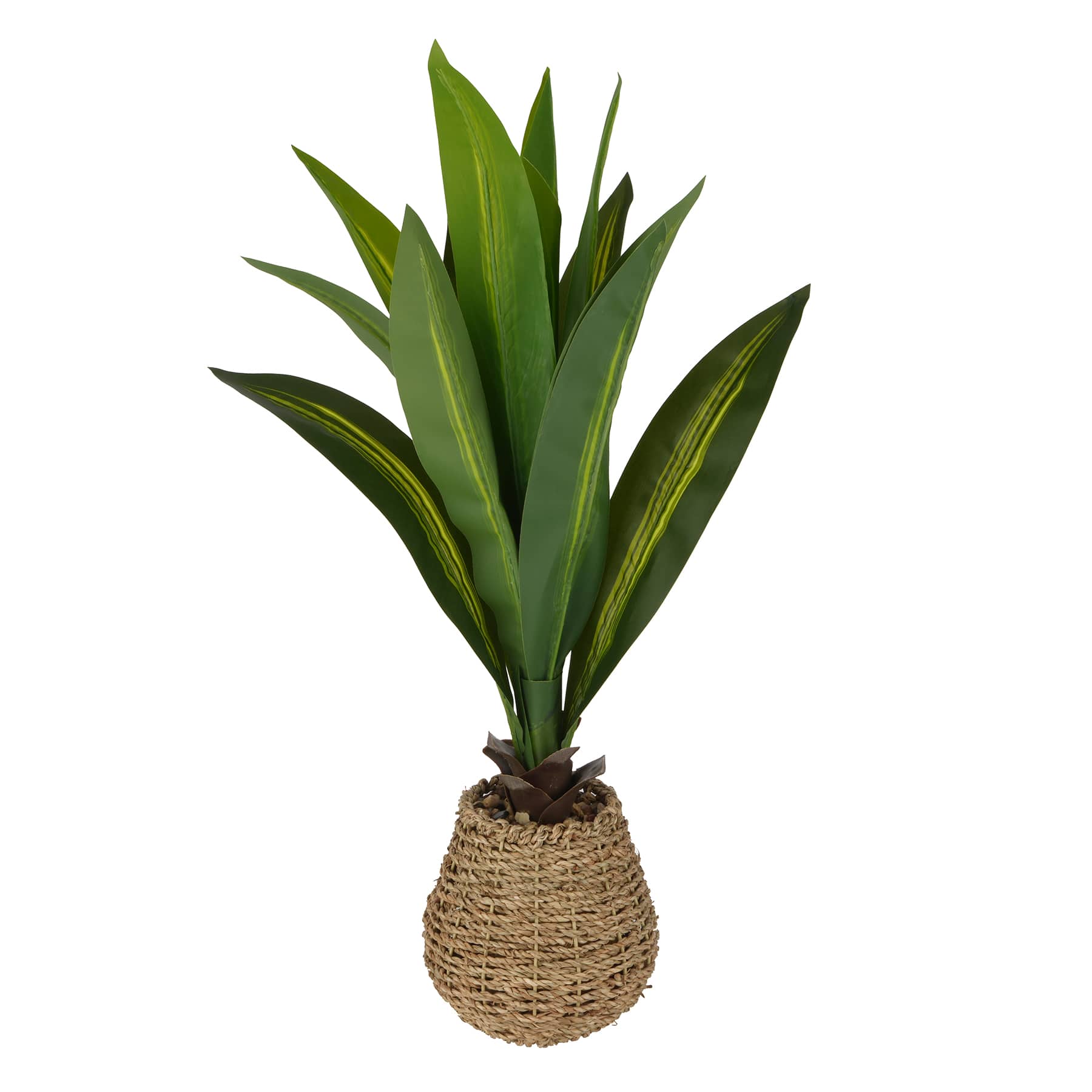 24" Tabletop Dracaena Plant in Woven Seagrass Pot by Ashland®