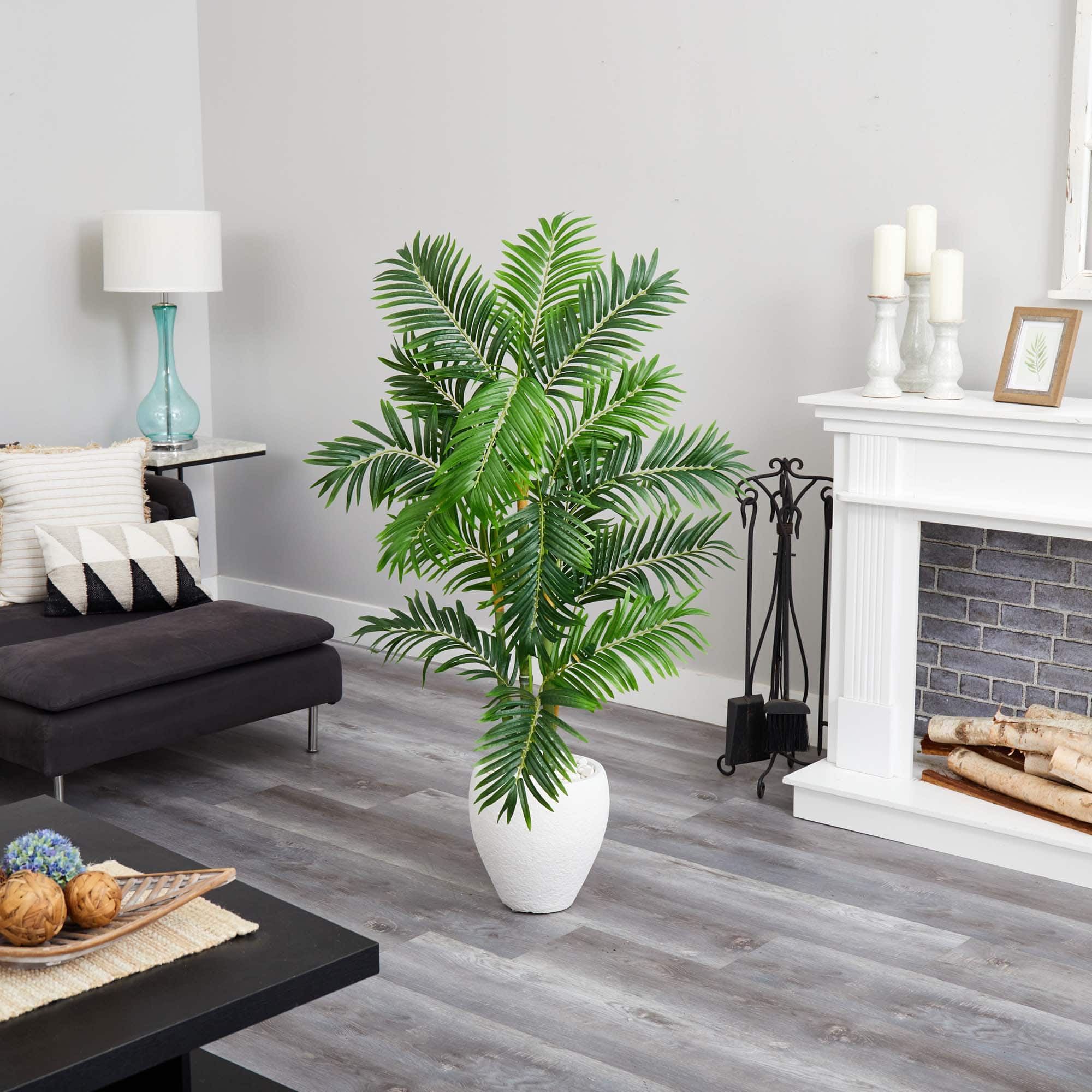 5ft. Areca Palm Tree in White Planter