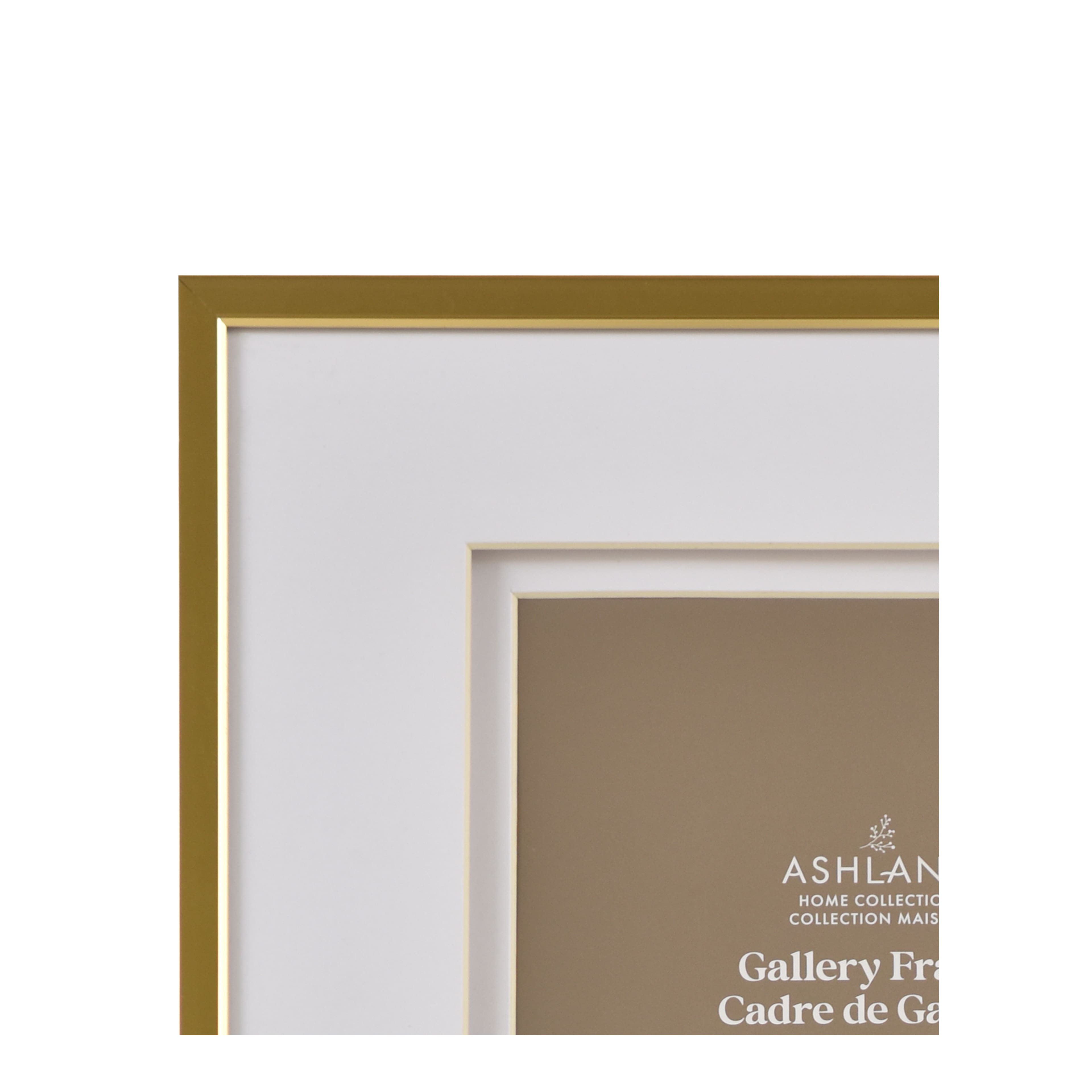 Home Metallic Double Matted Aluminum Gallery Frame by Ashland