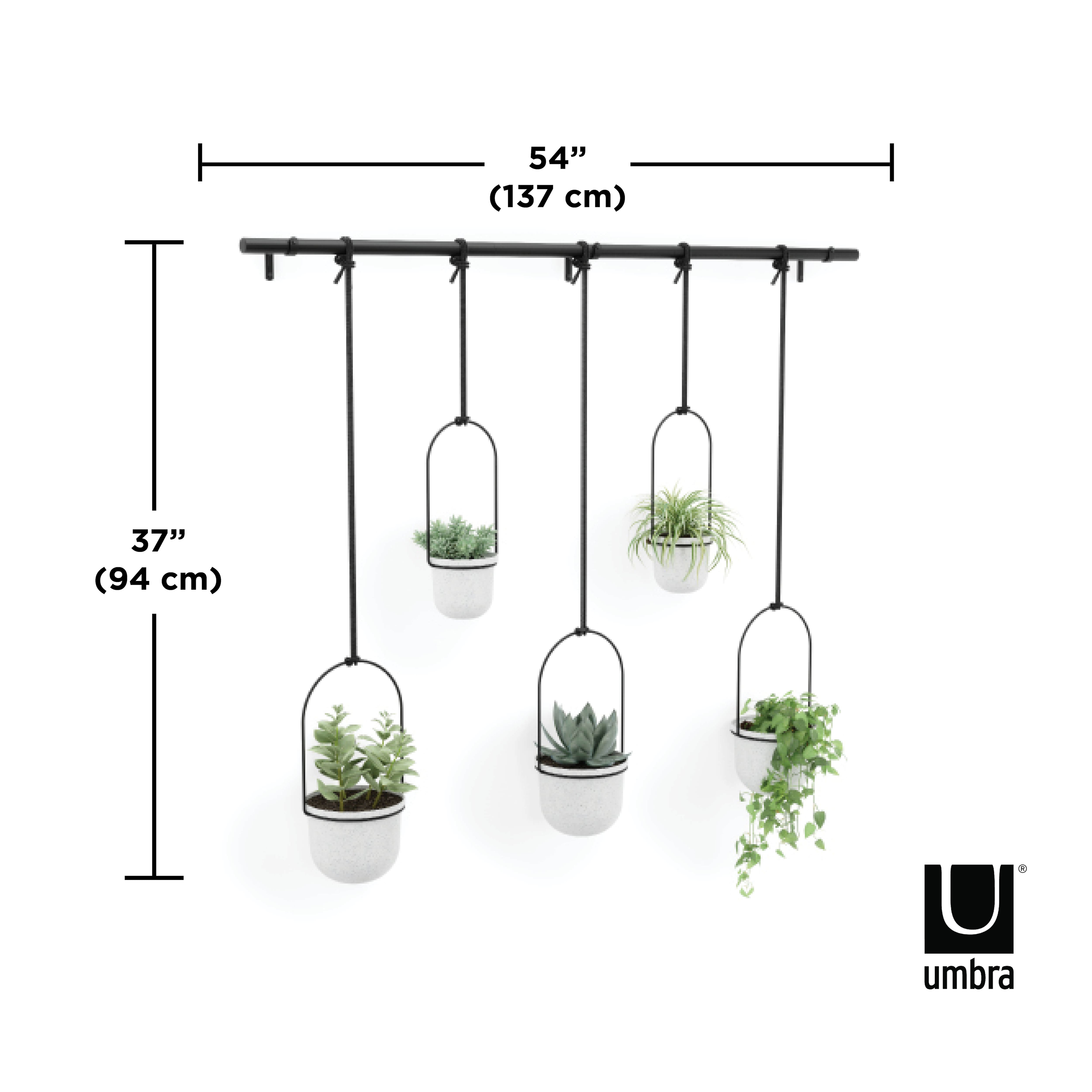 Umbra White & Black Triflora Hanging Planter Set
