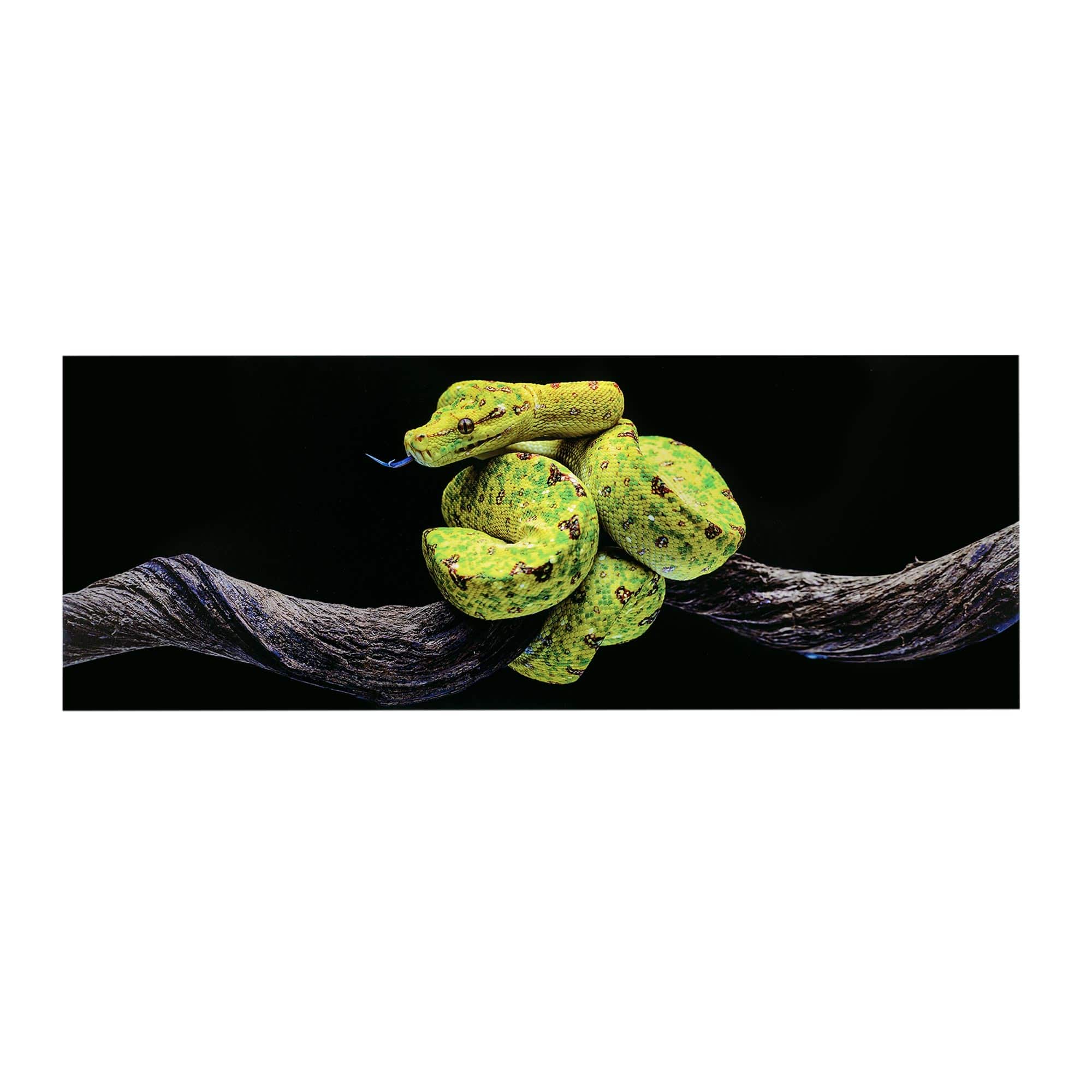 48" Green Tree Snake Glossy Lacquer Wall Art
