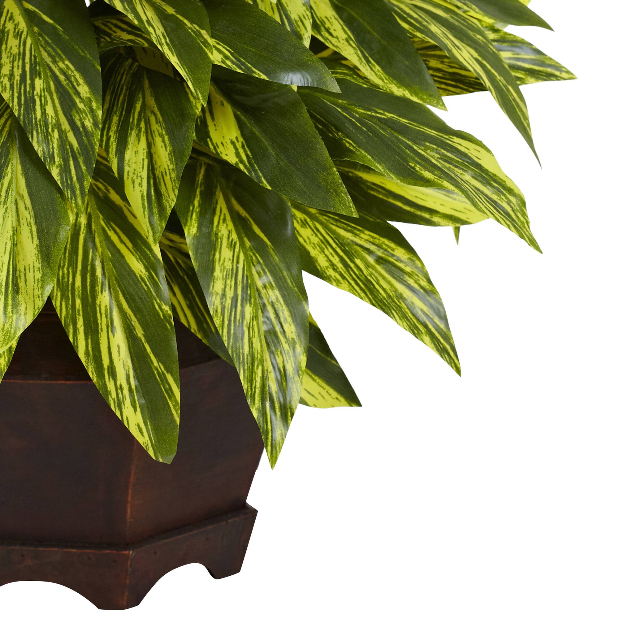 19.5" Spiderwort Plant with Hexagon Planter