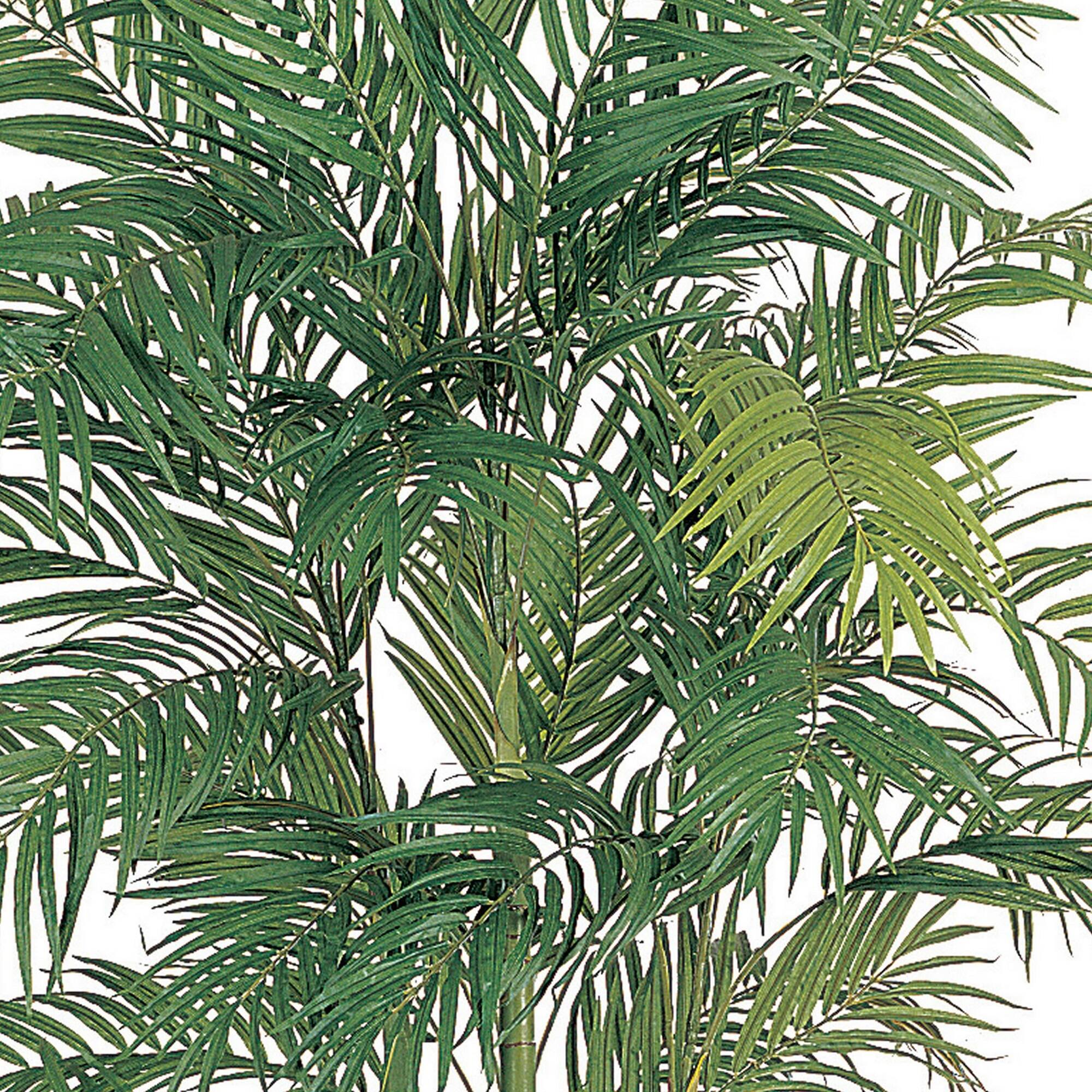 7ft. Potted Areca Silk Palm Tree