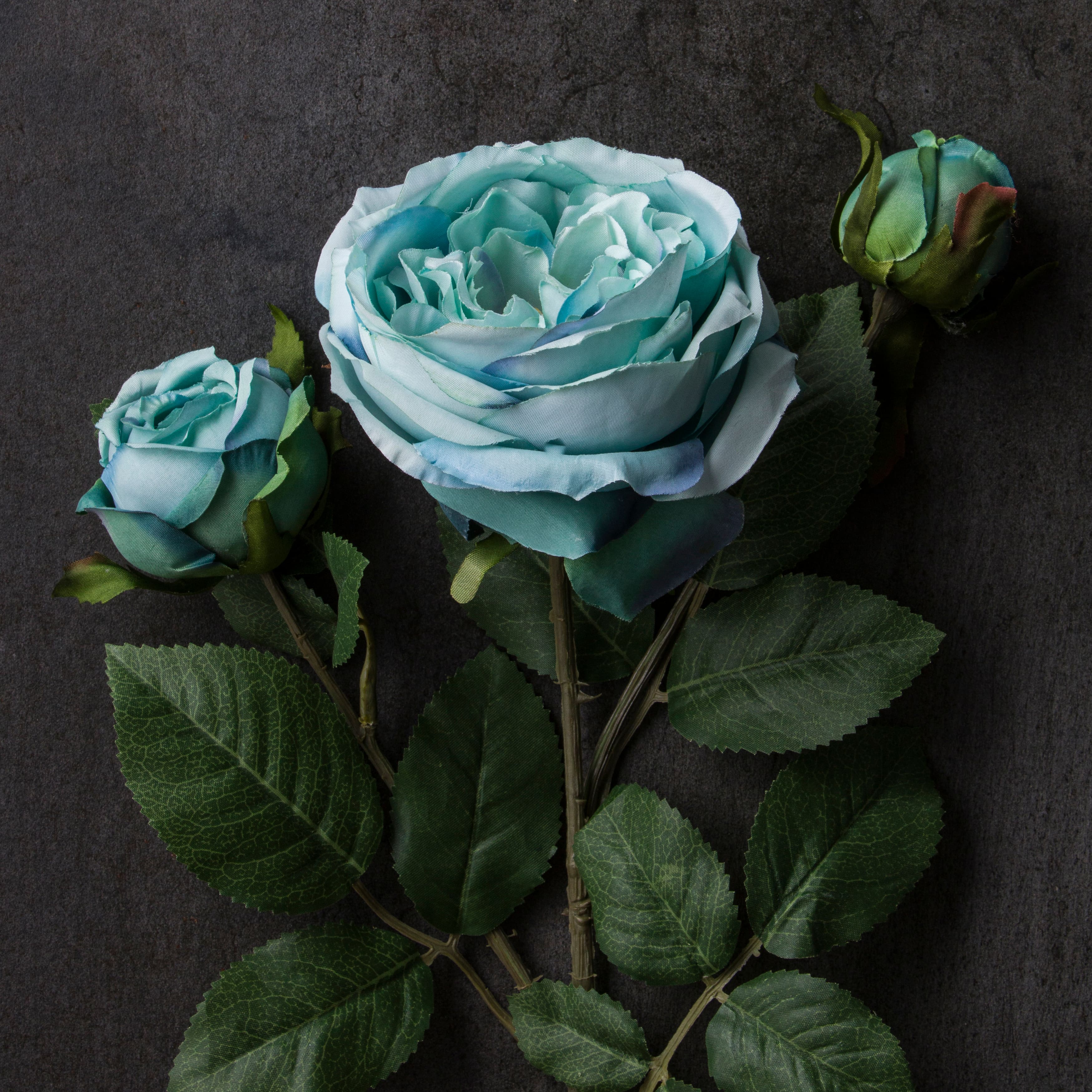 Teal English Rose Stem by Ashland®