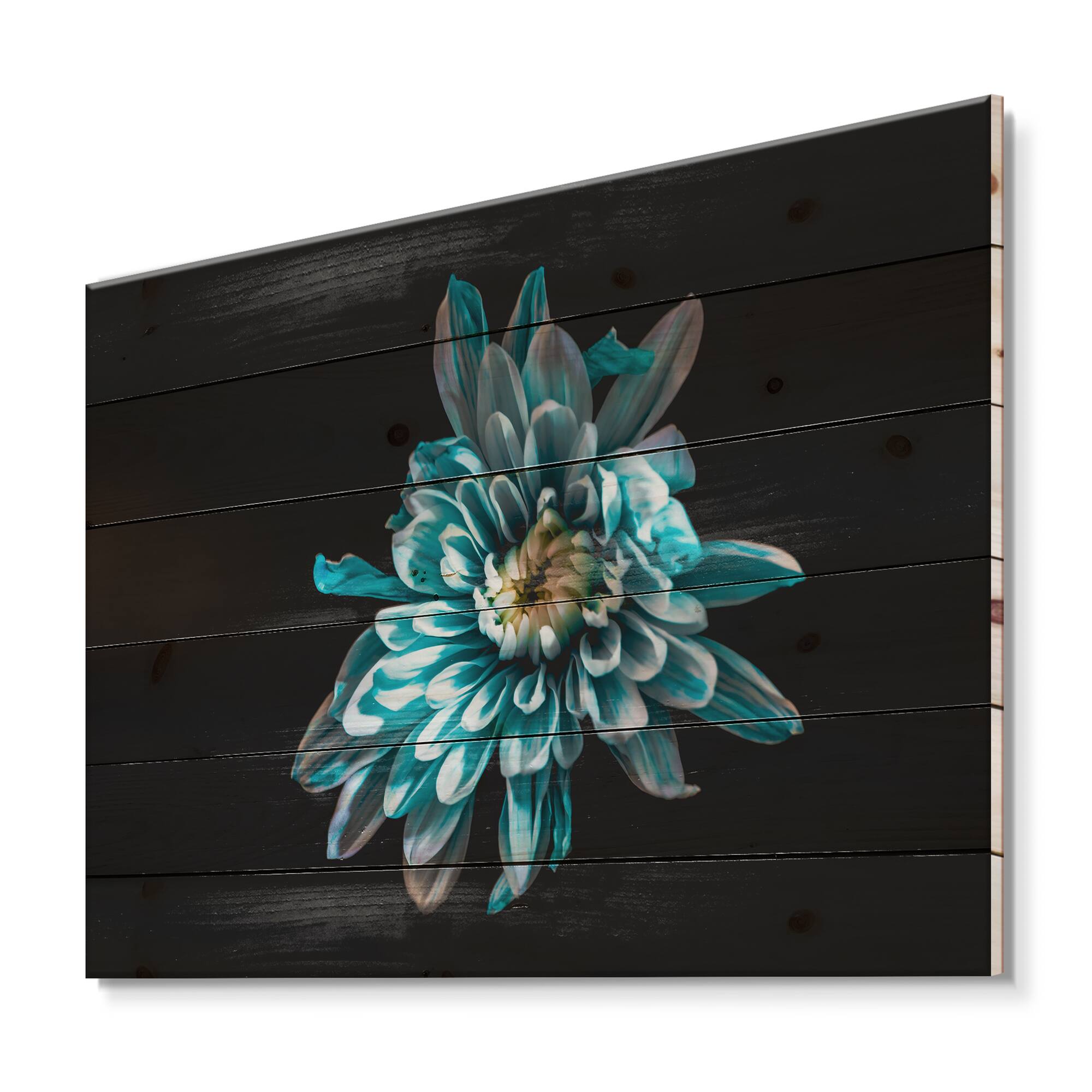 Designart - Top View of Blue and White Flower - Traditional Print on Natural Pine Wood