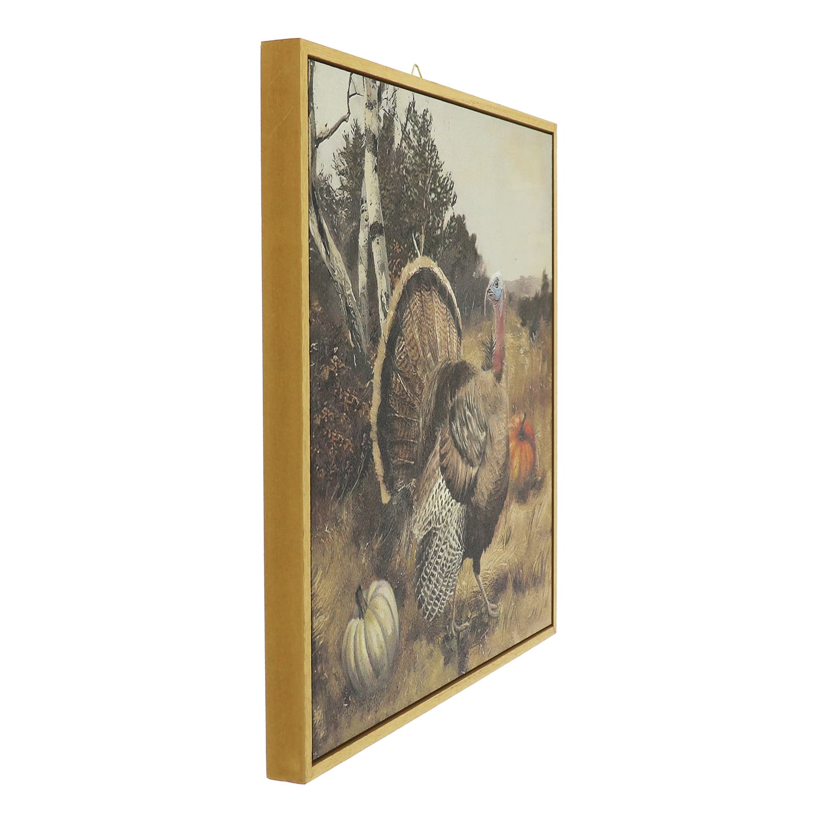 Framed Turkey Wall Décor by Ashland®