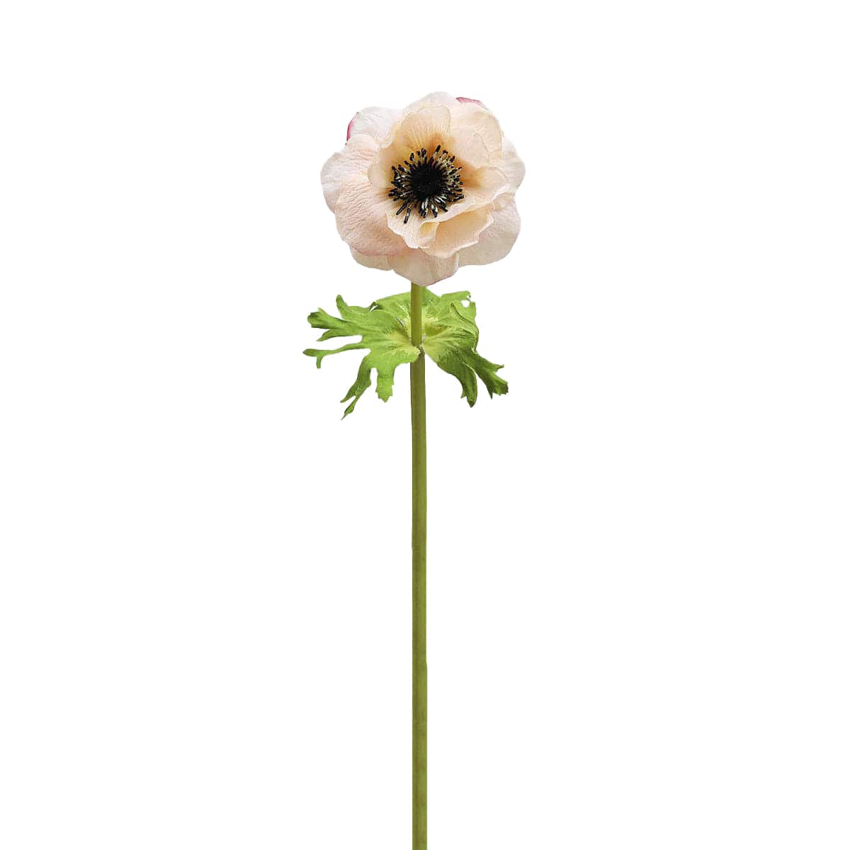 Prestige Botanicals 17.5" Artificial Real Touch Anemone Stem