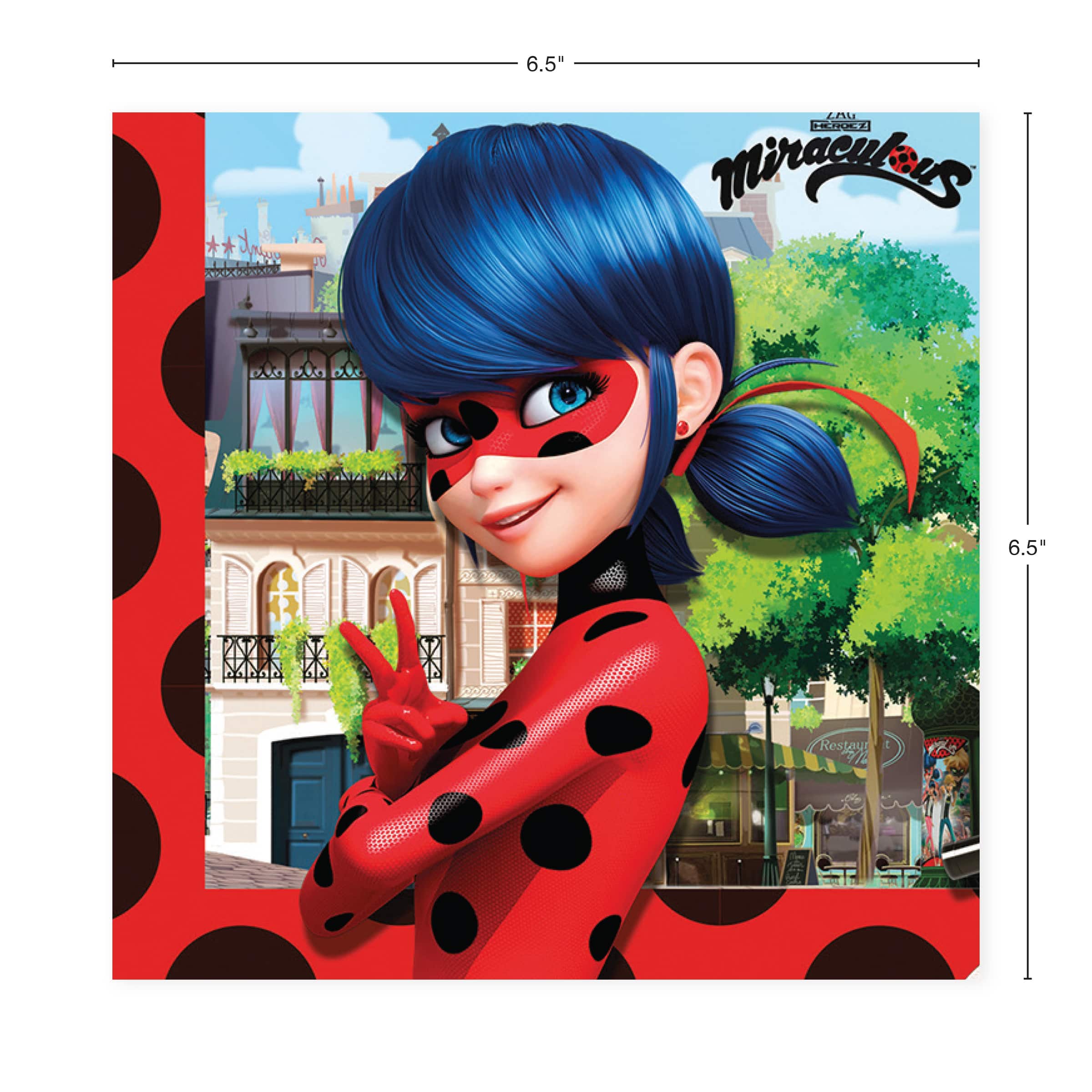 Miraculous Ladybug Party Kit