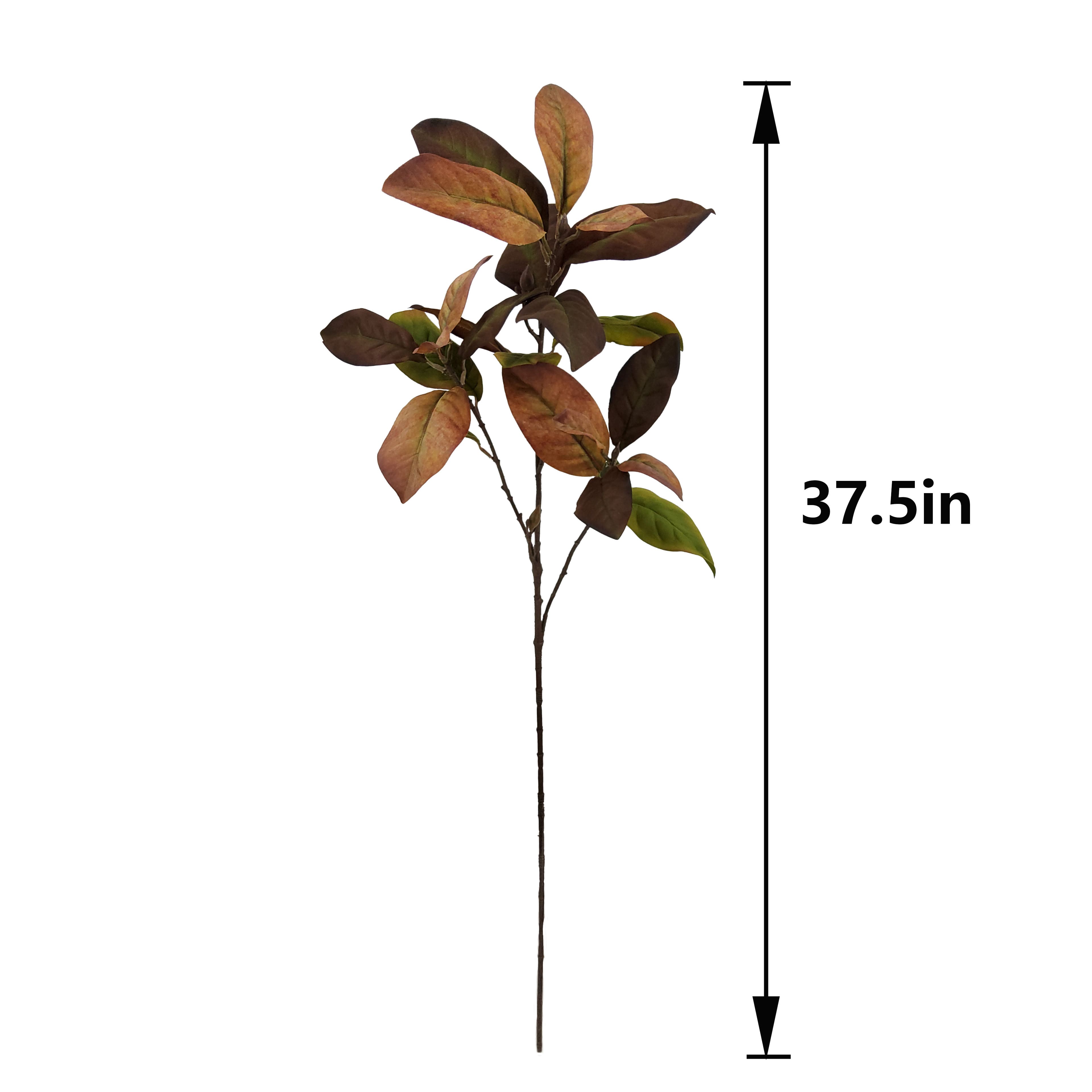 37.5" Brown & Green Magnolia Leaf Stem by Ashland®
