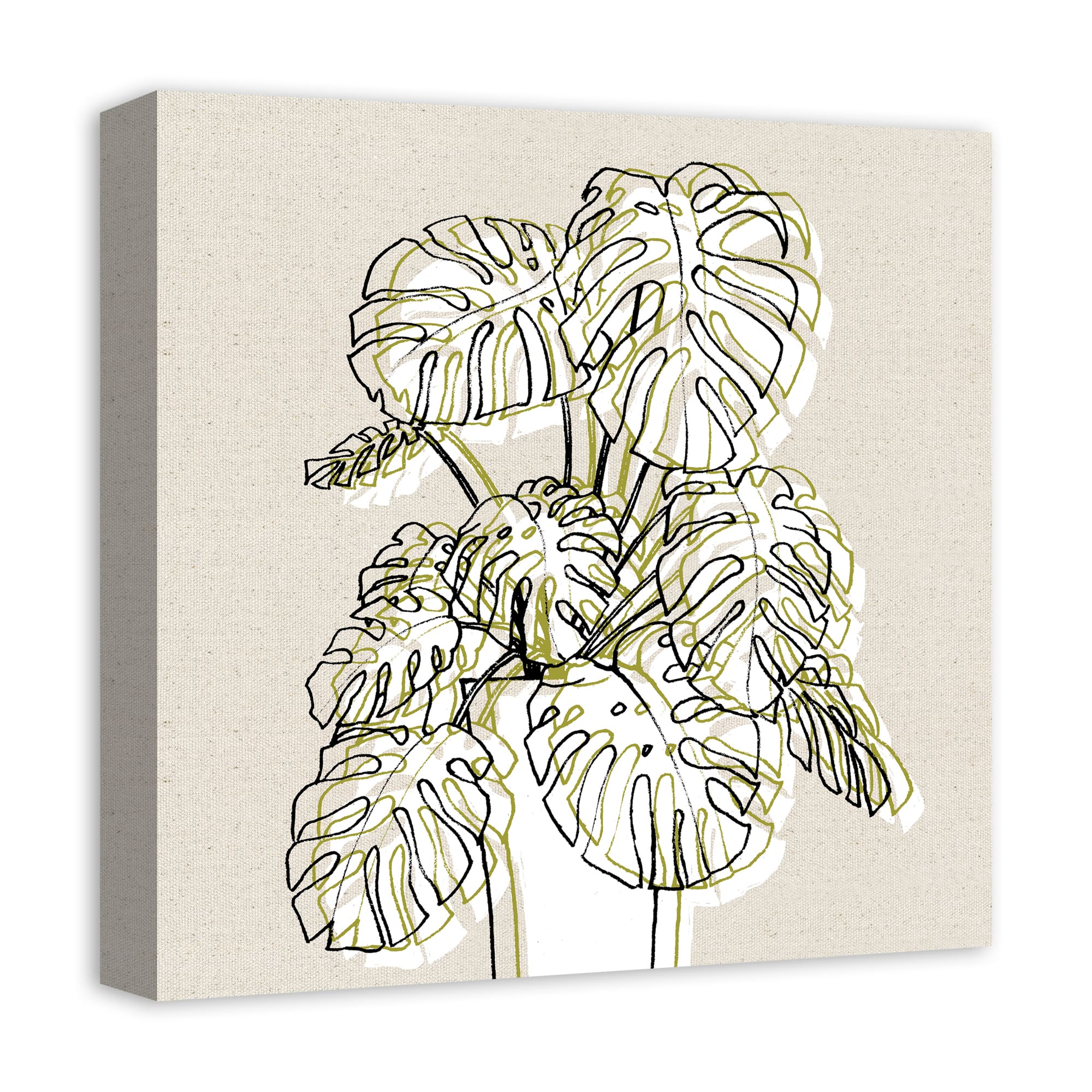 Design Directs Monstera Drawing Canvas Wall Art