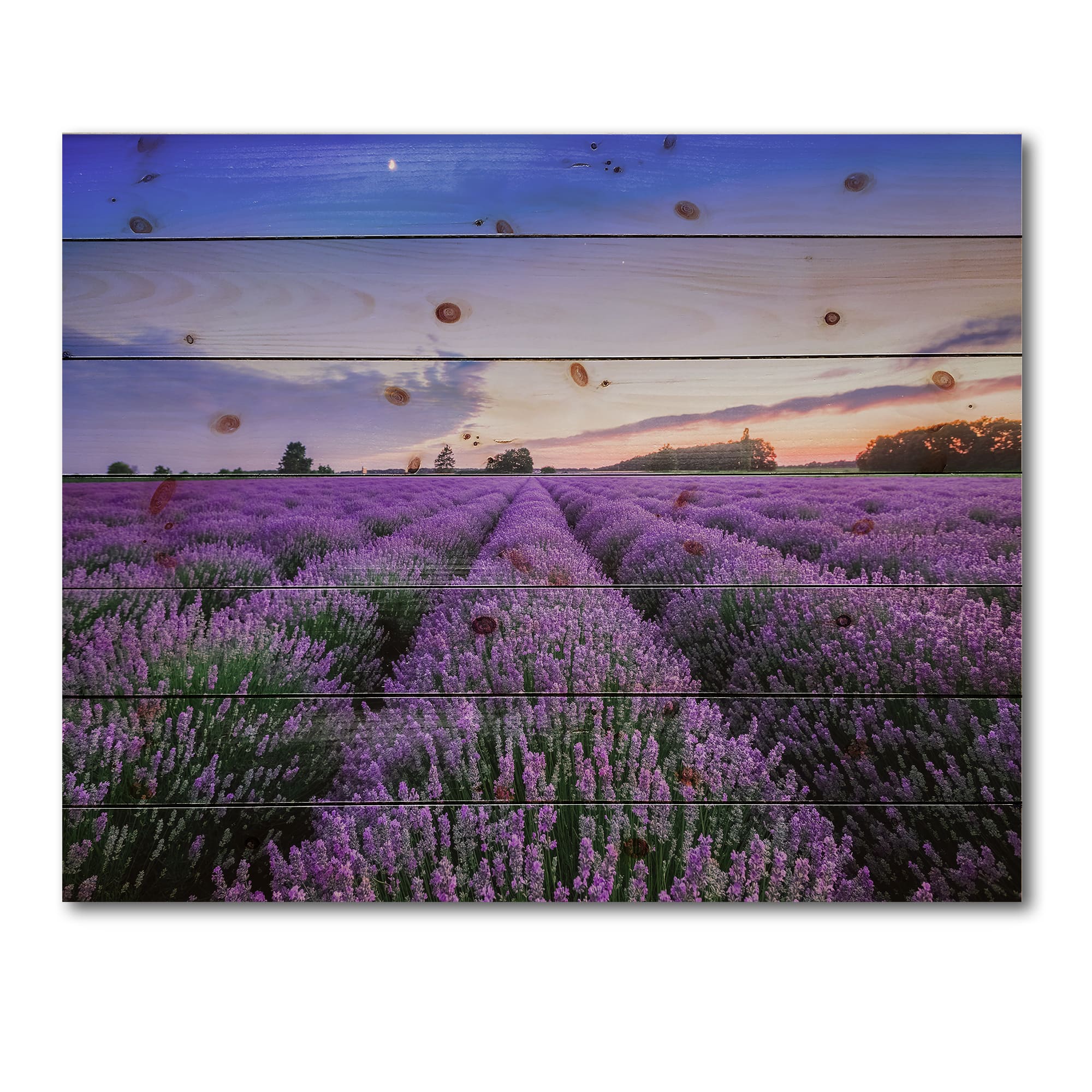 Designart - Sunrise & Dramatic Clouds Over Lavender Field II - Farmhouse Print on Natural Pine Wood