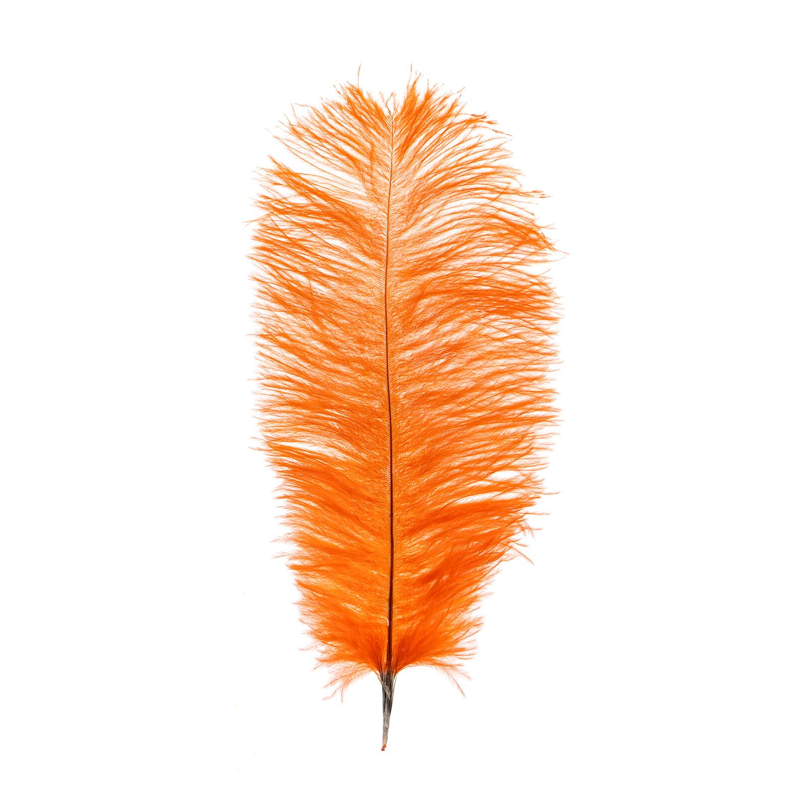 John Bead 11"-13" Ostrich Drab Feather